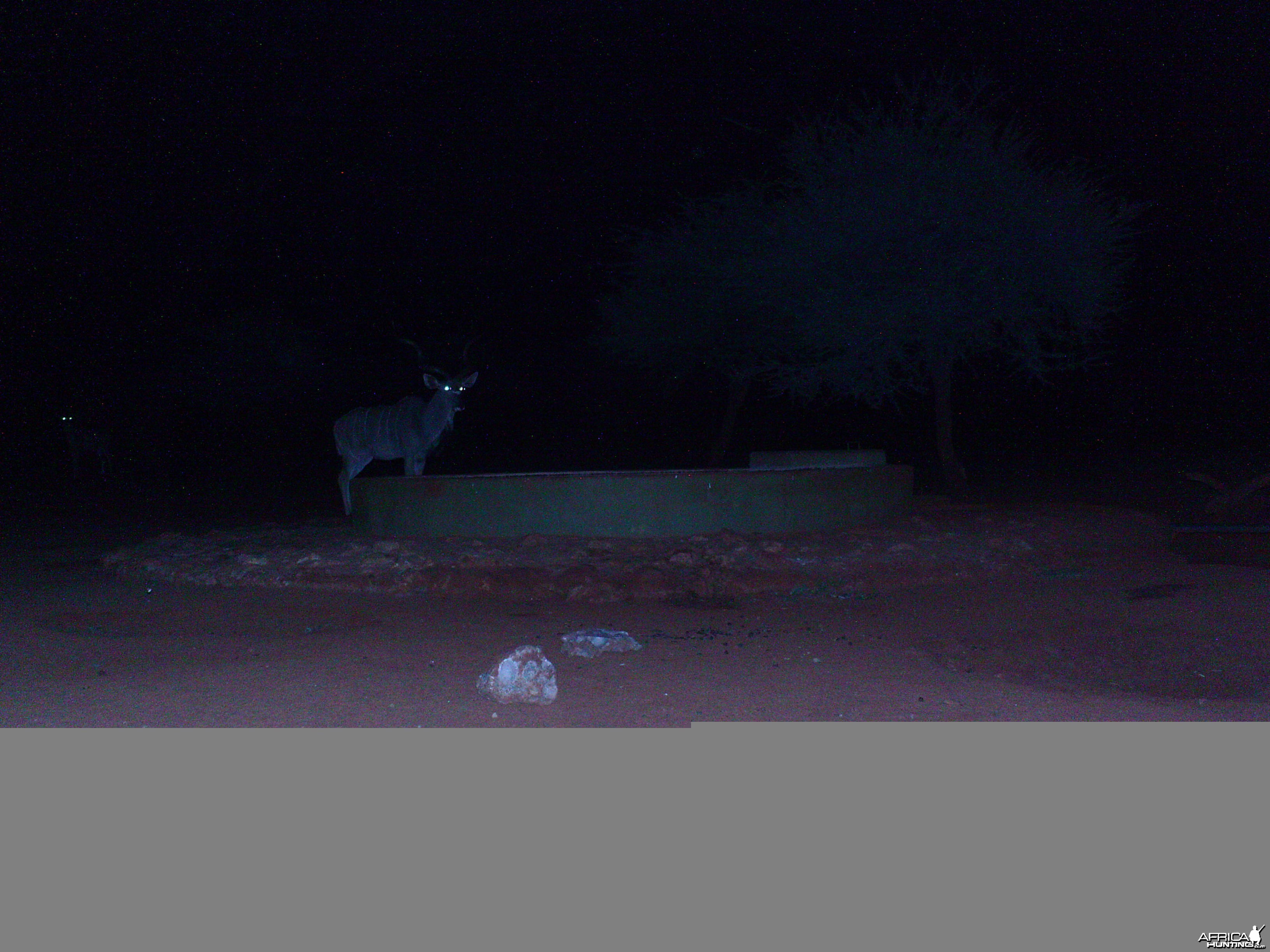 Trail Camera Namibia