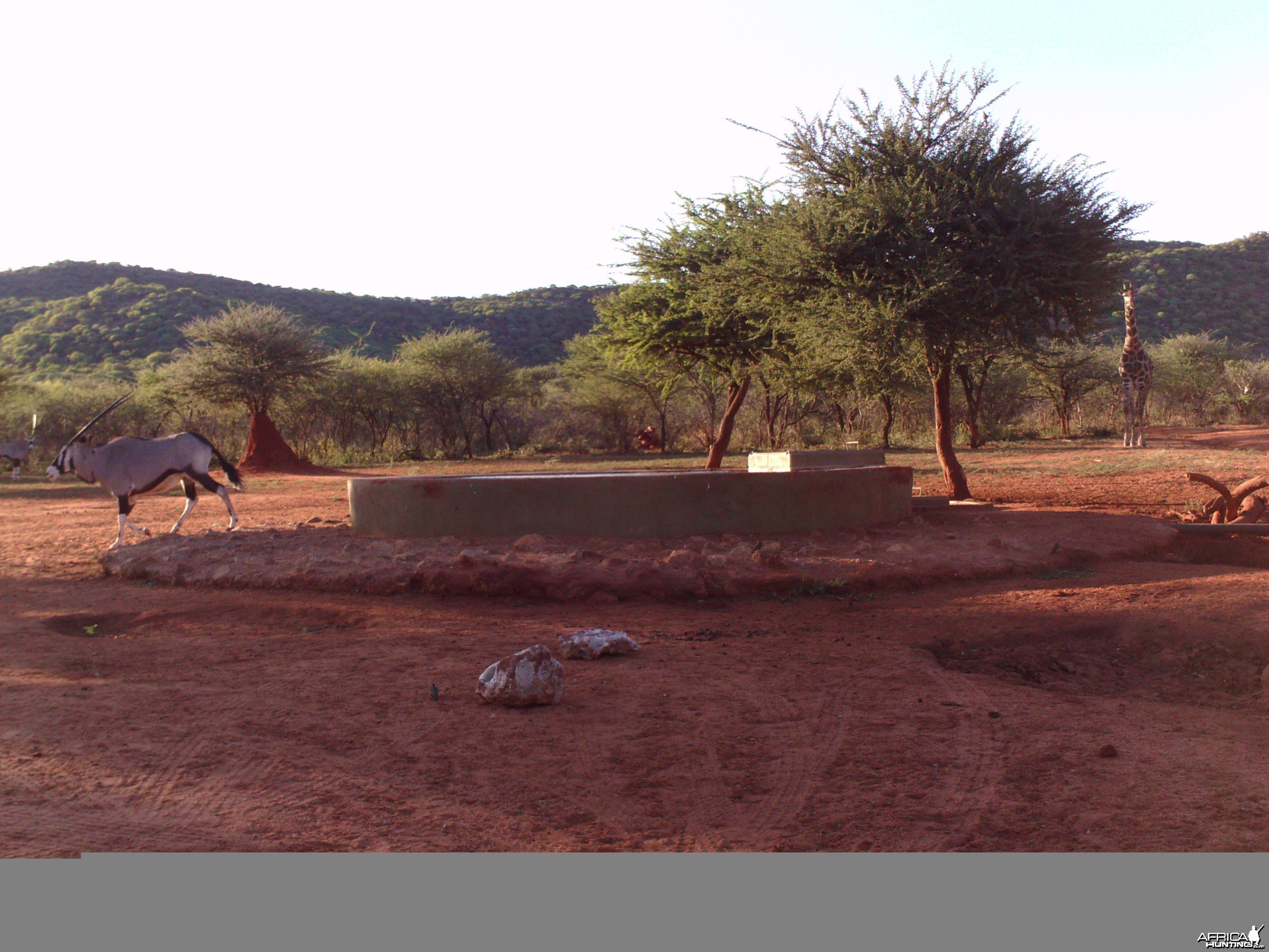 Trail Camera Namibia