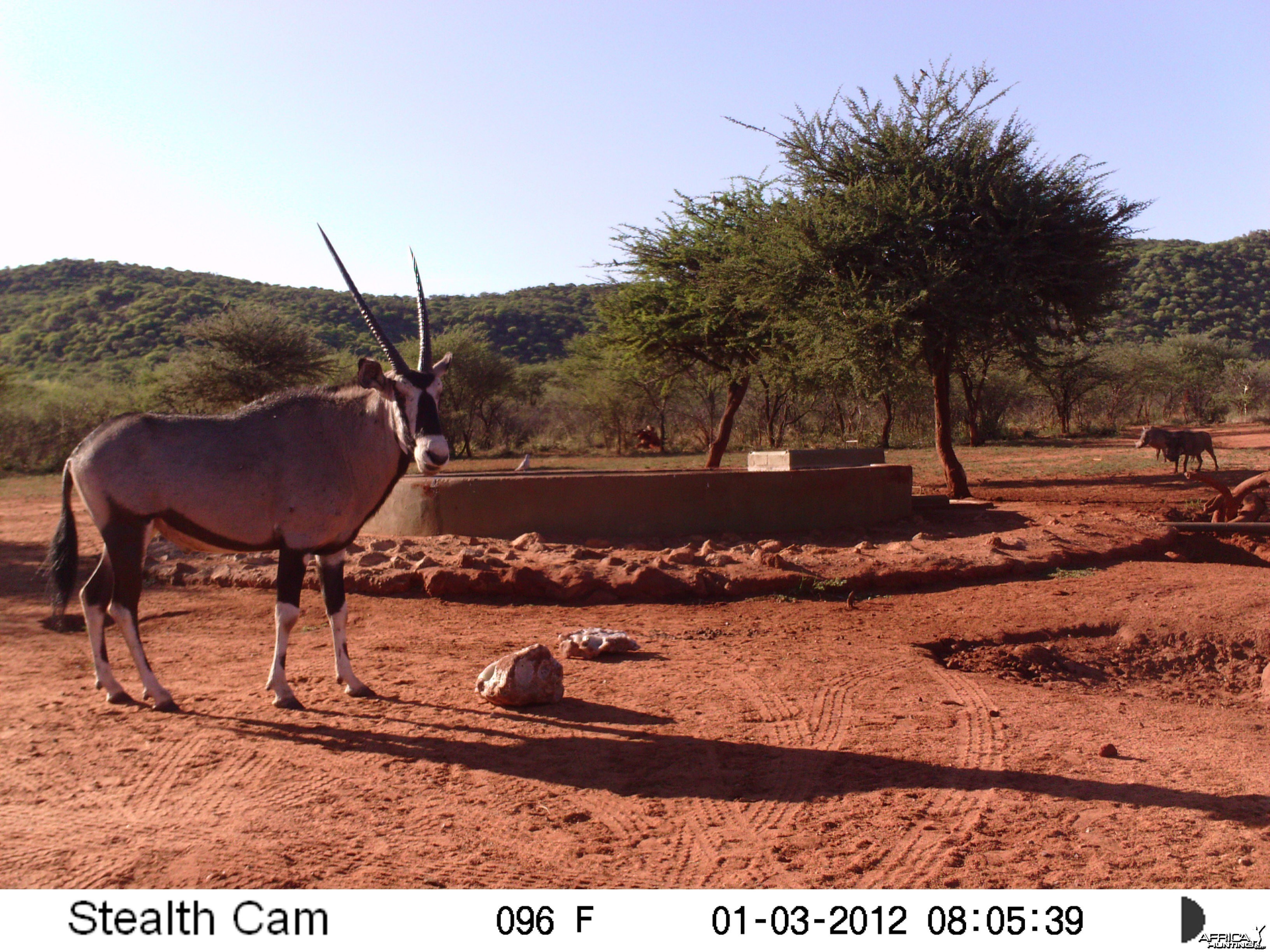 Trail Camera Namibia