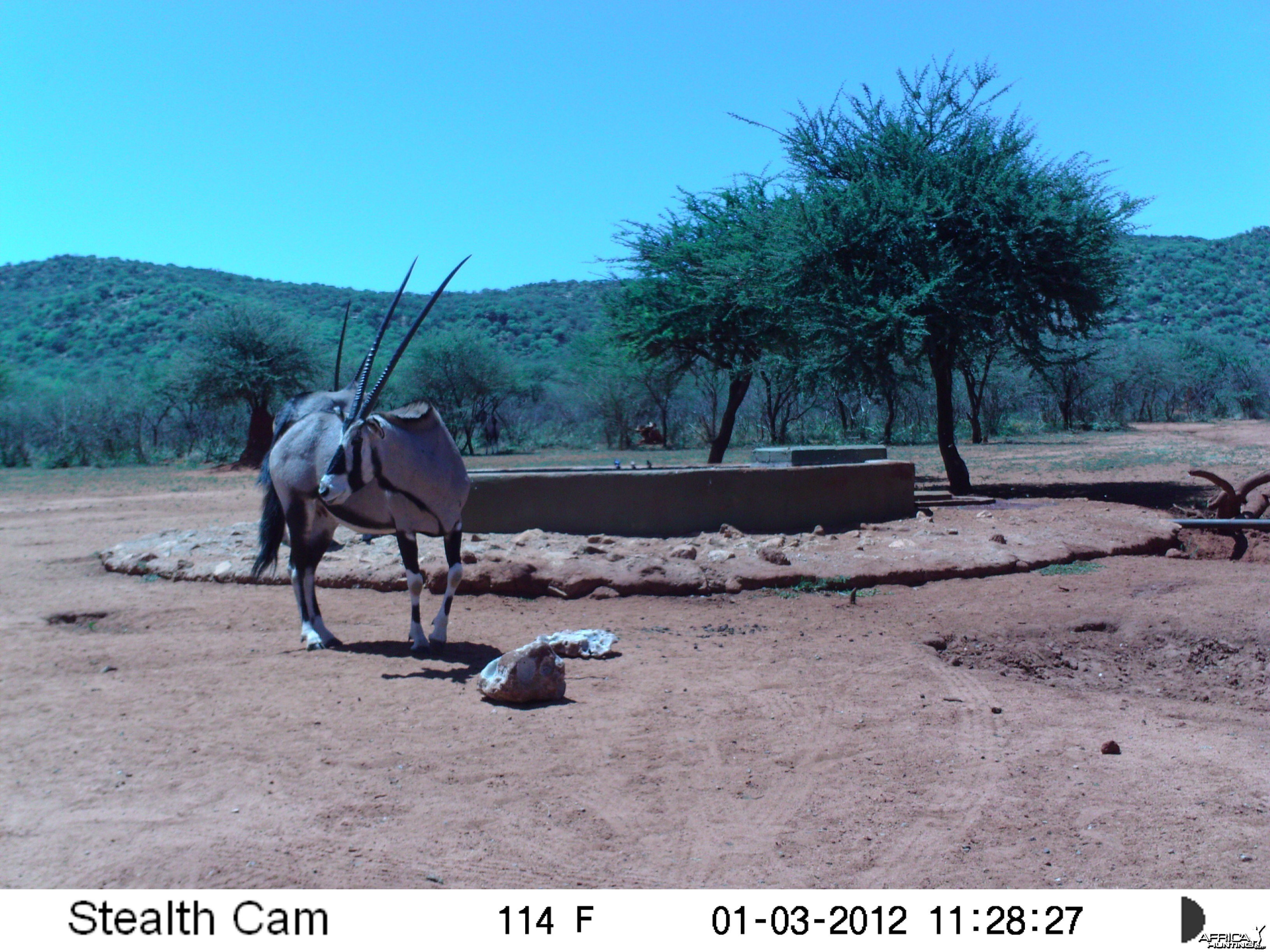 Trail Camera Namibia