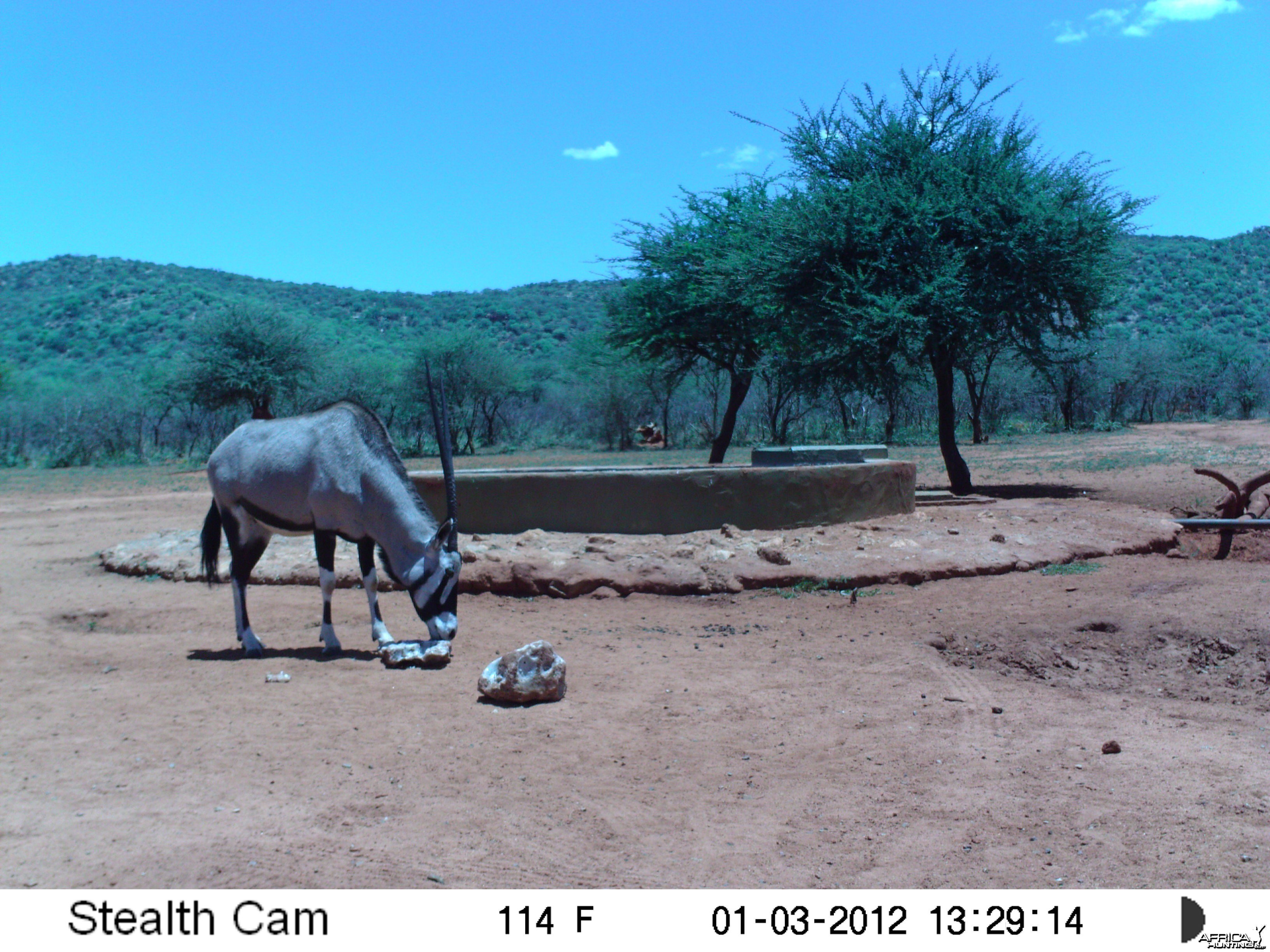 Trail Camera Namibia