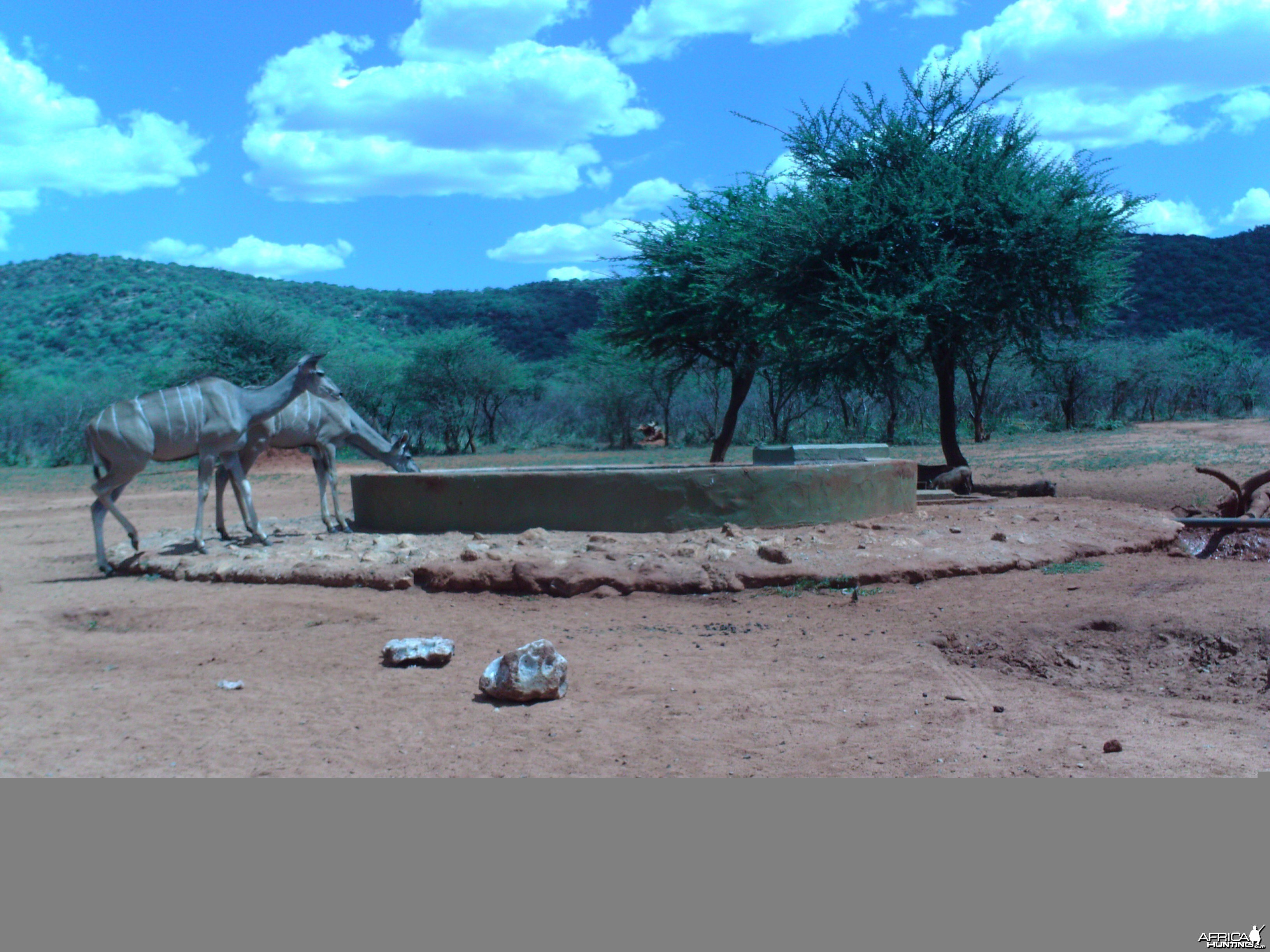 Trail Camera Namibia