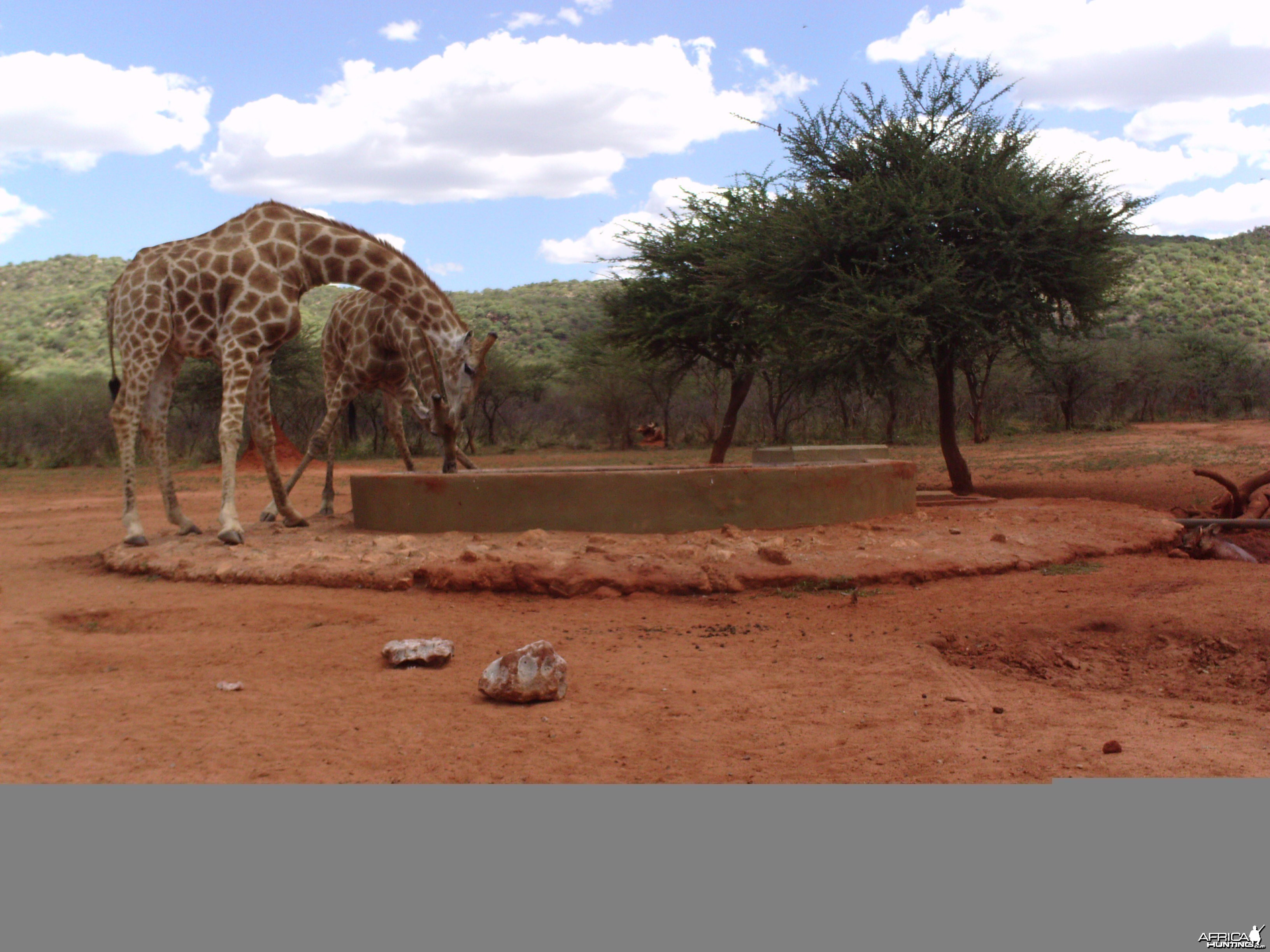 Trail Camera Namibia