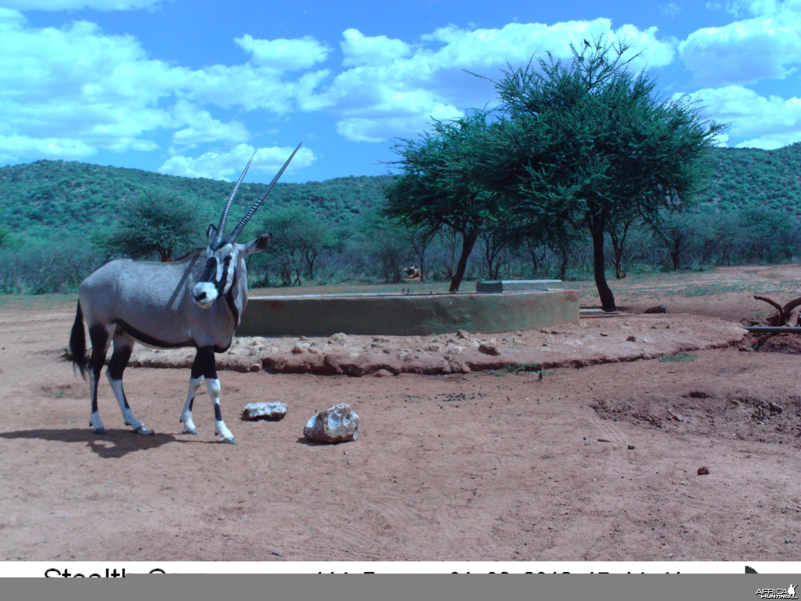 Trail Camera Namibia