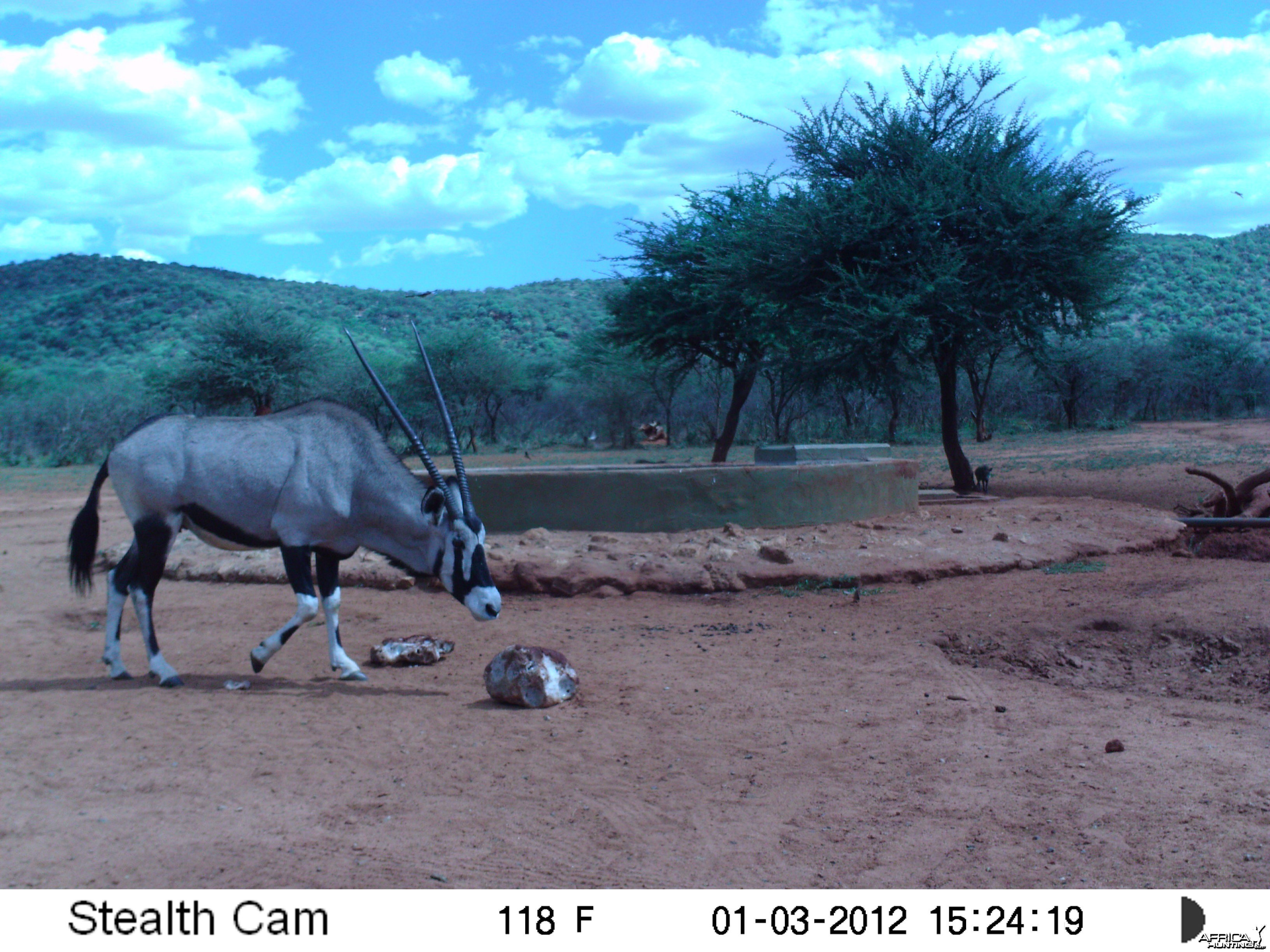 Trail Camera Namibia