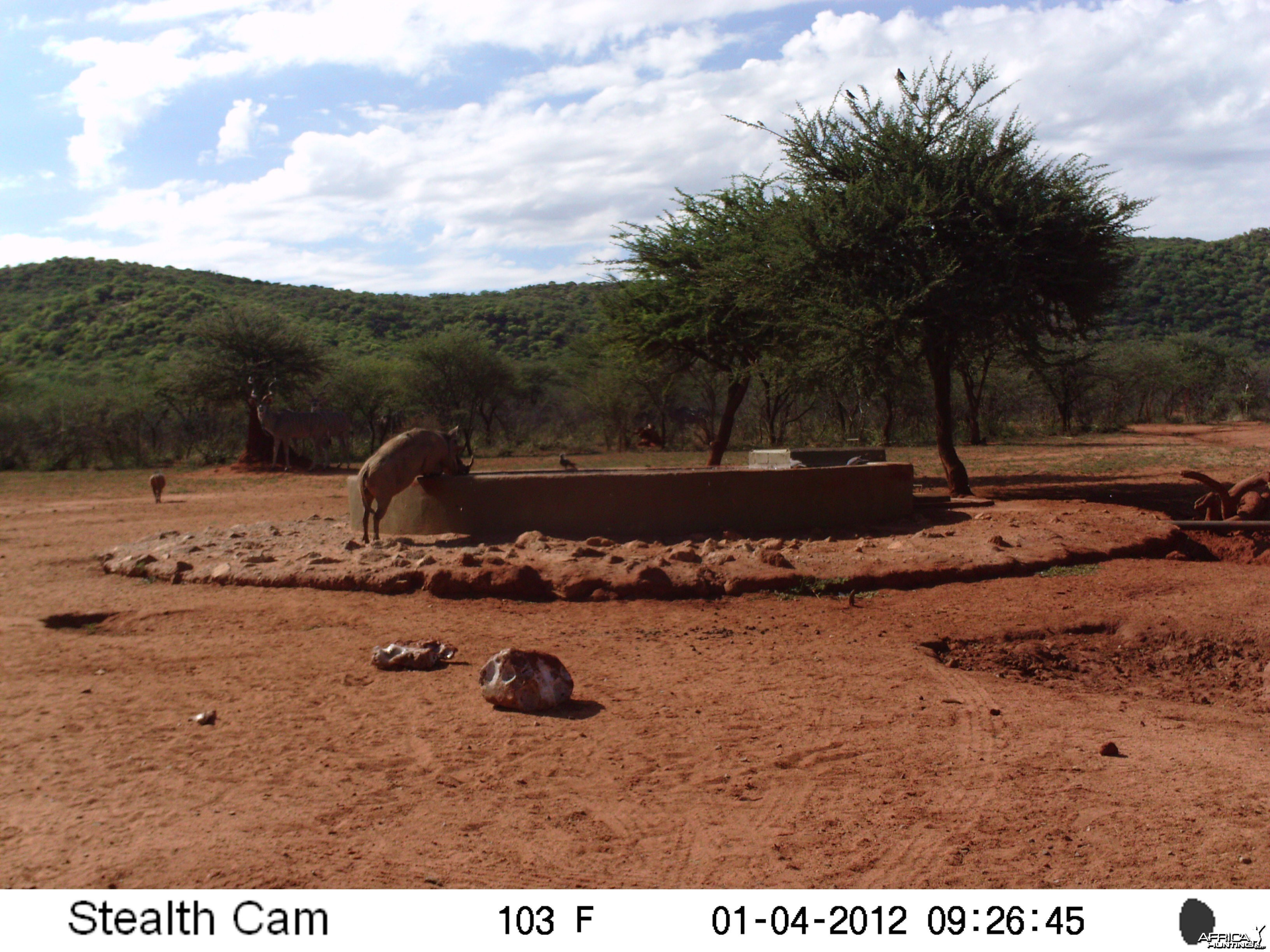 Trail Camera Namibia