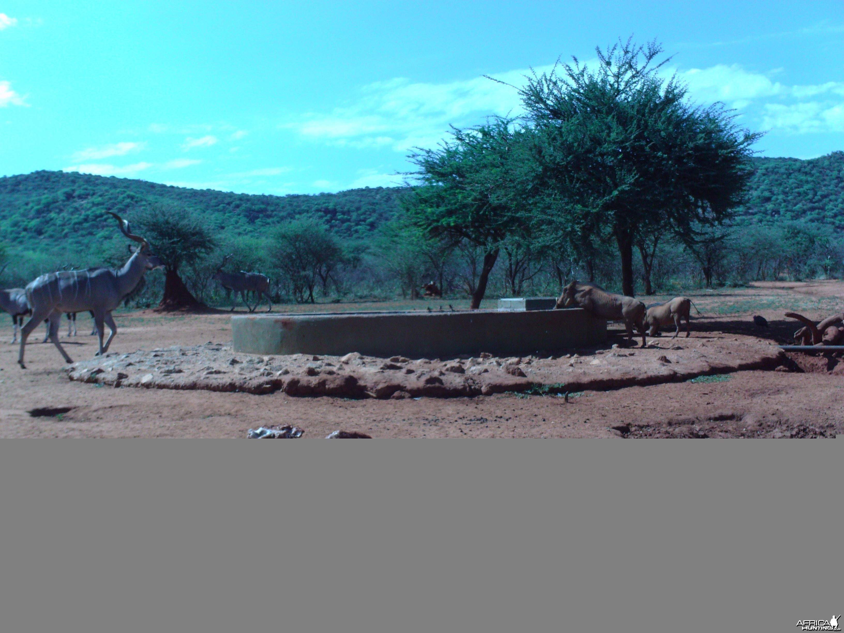 Trail Camera Namibia