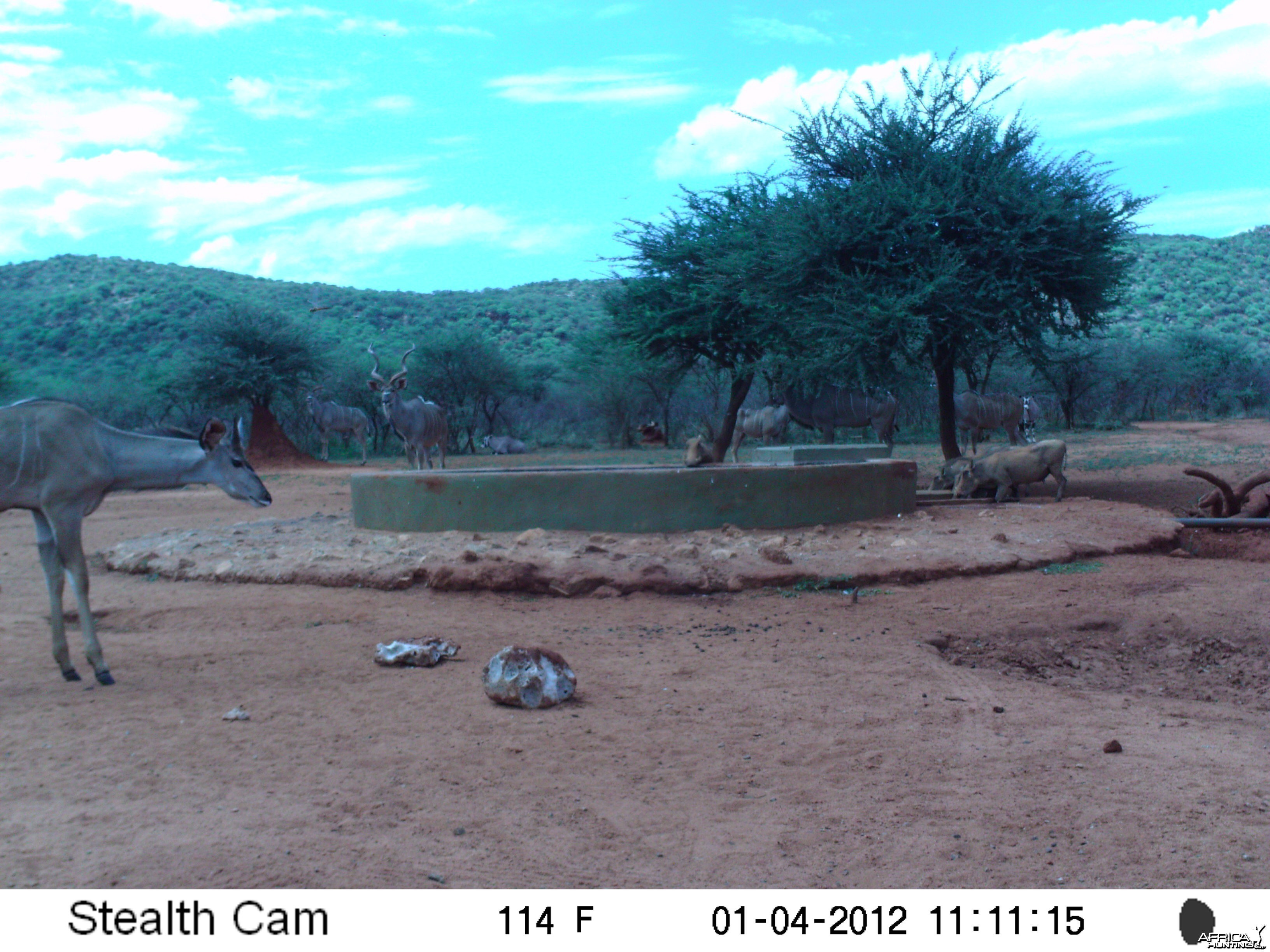 Trail Camera Namibia