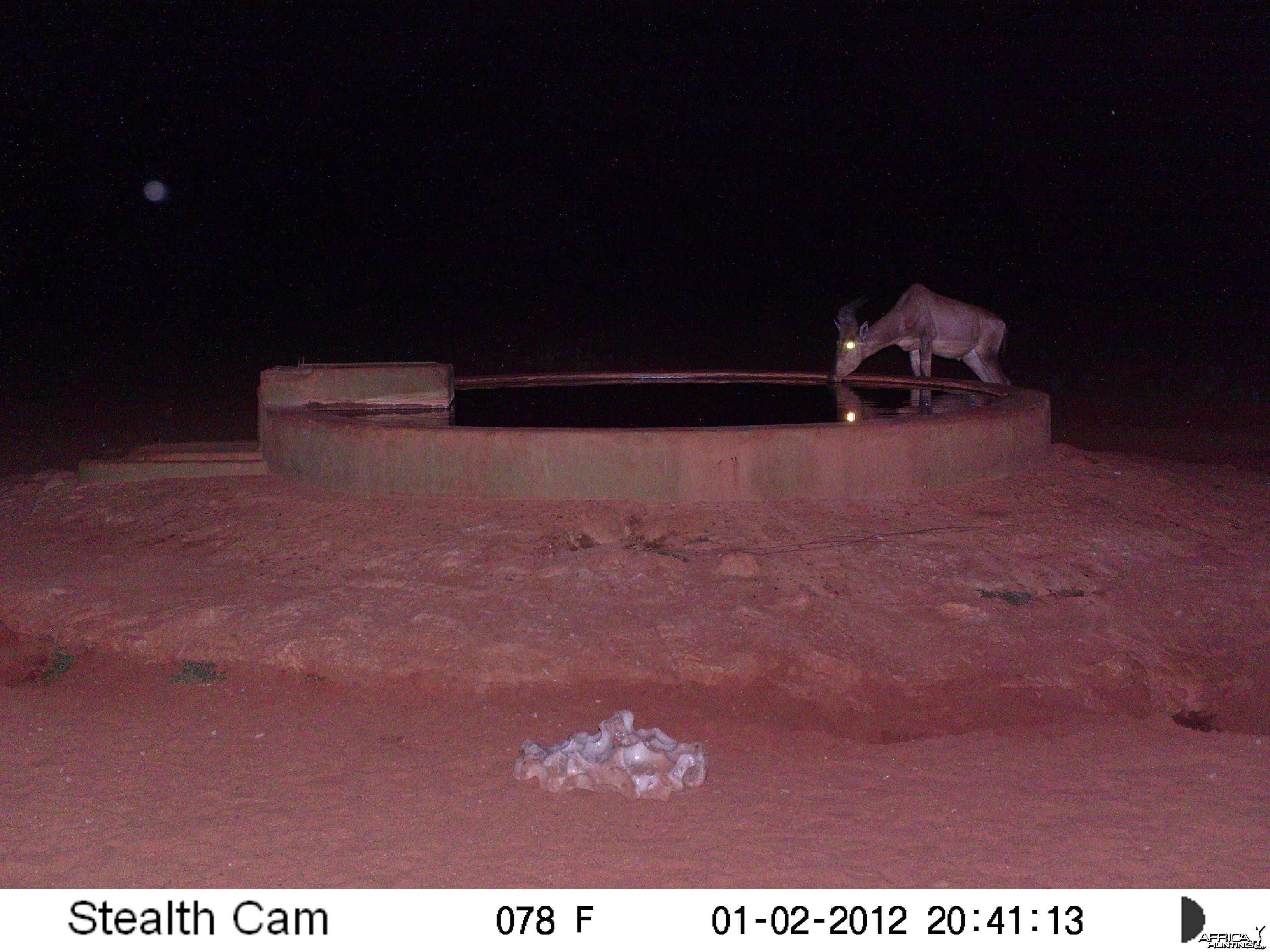 Trail Camera Namibia