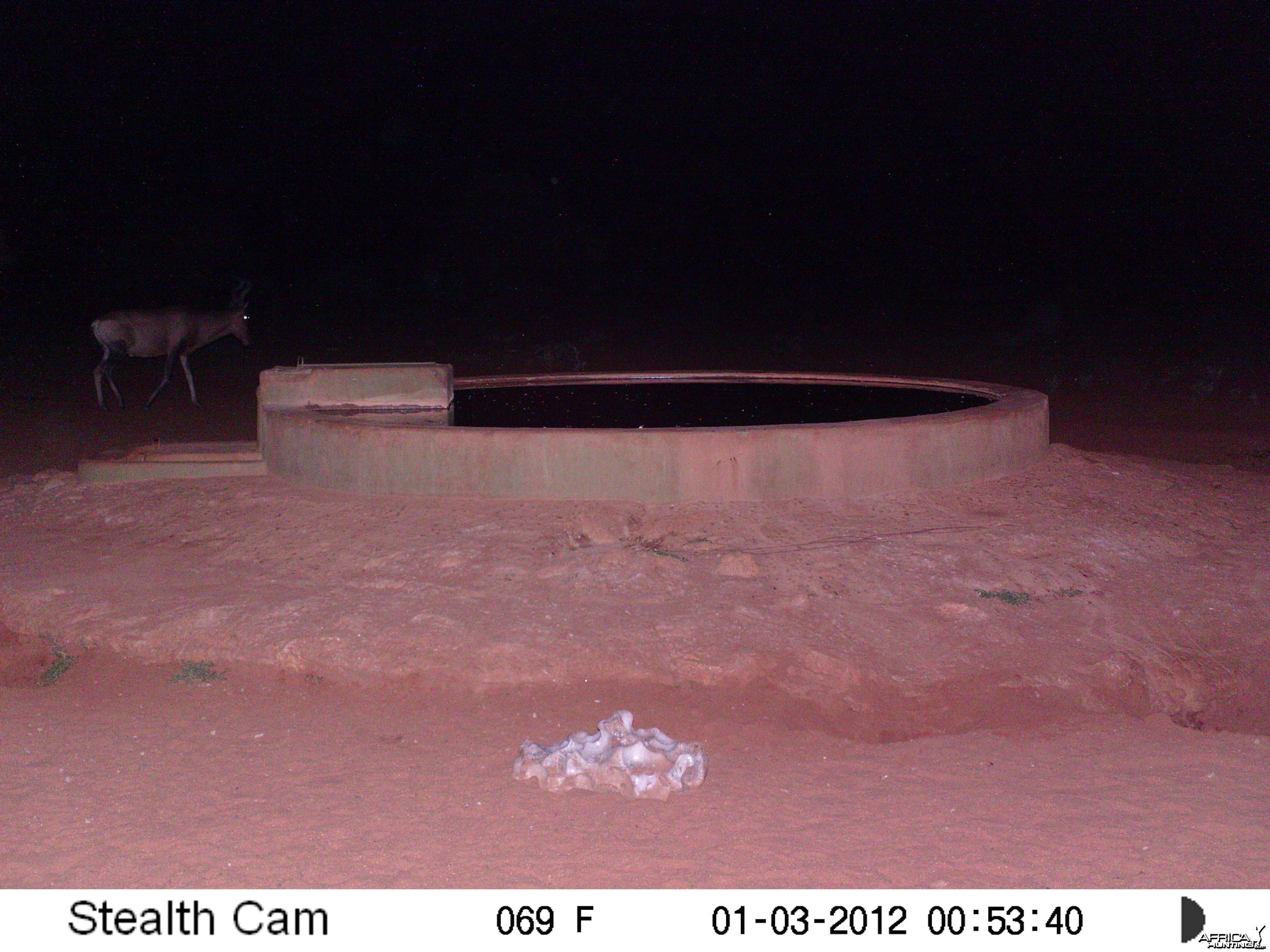 Trail Camera Namibia