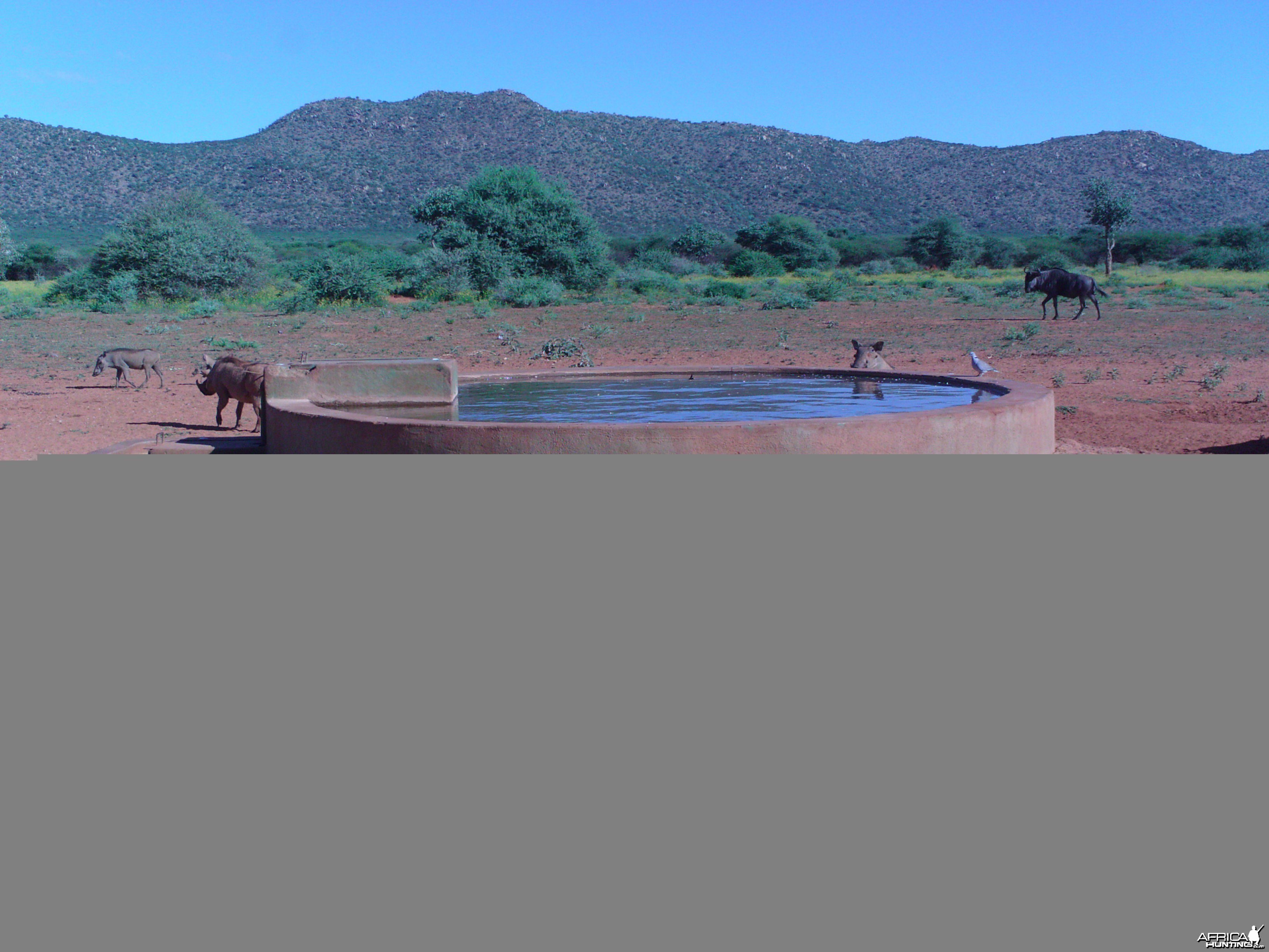 Trail Camera Namibia