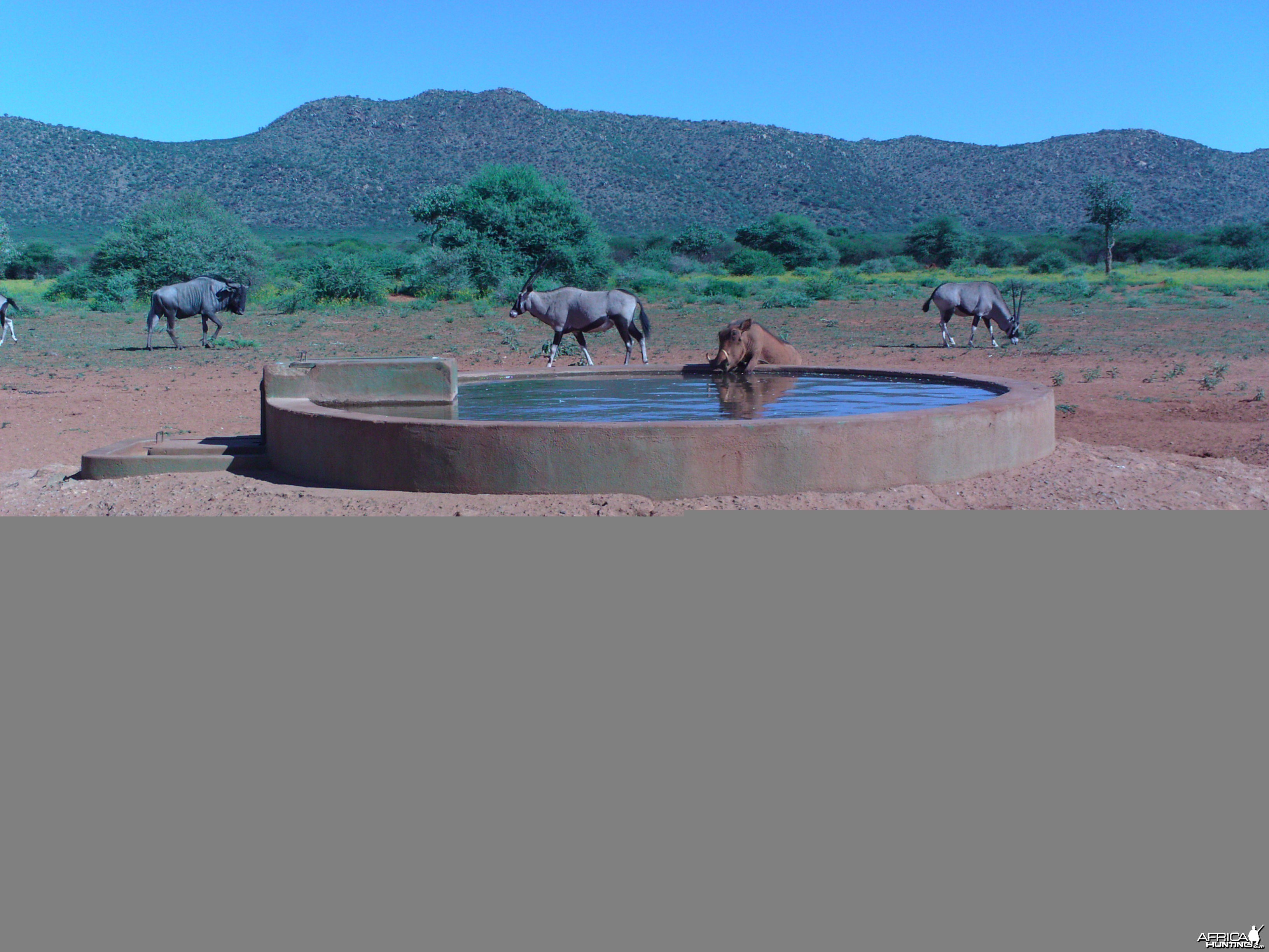 Trail Camera Namibia