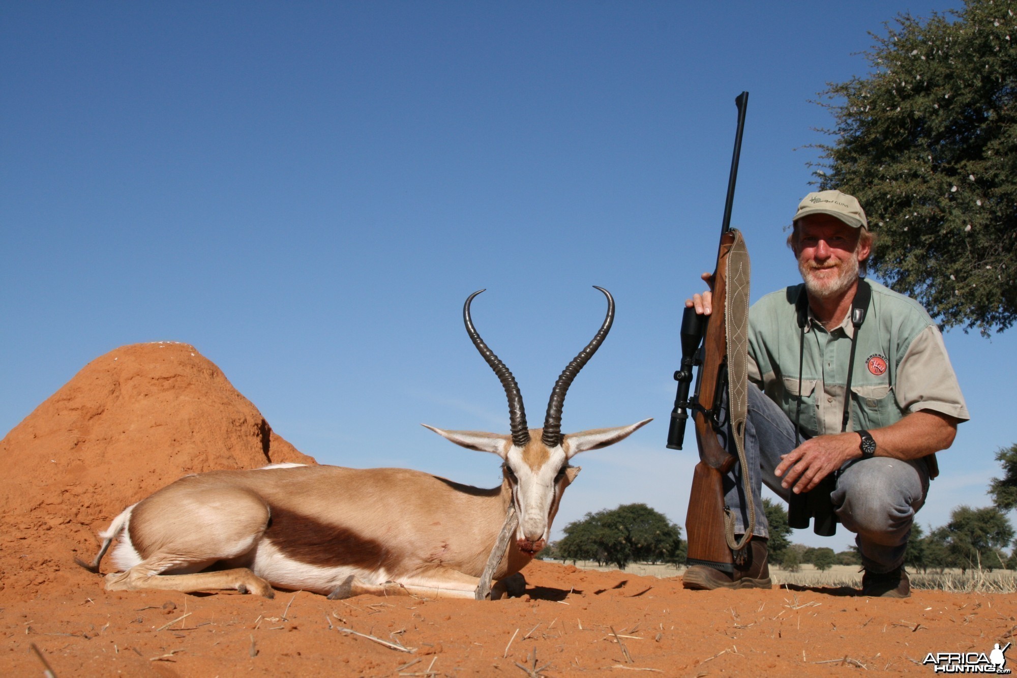 UNUSUAL SPRINGBOK