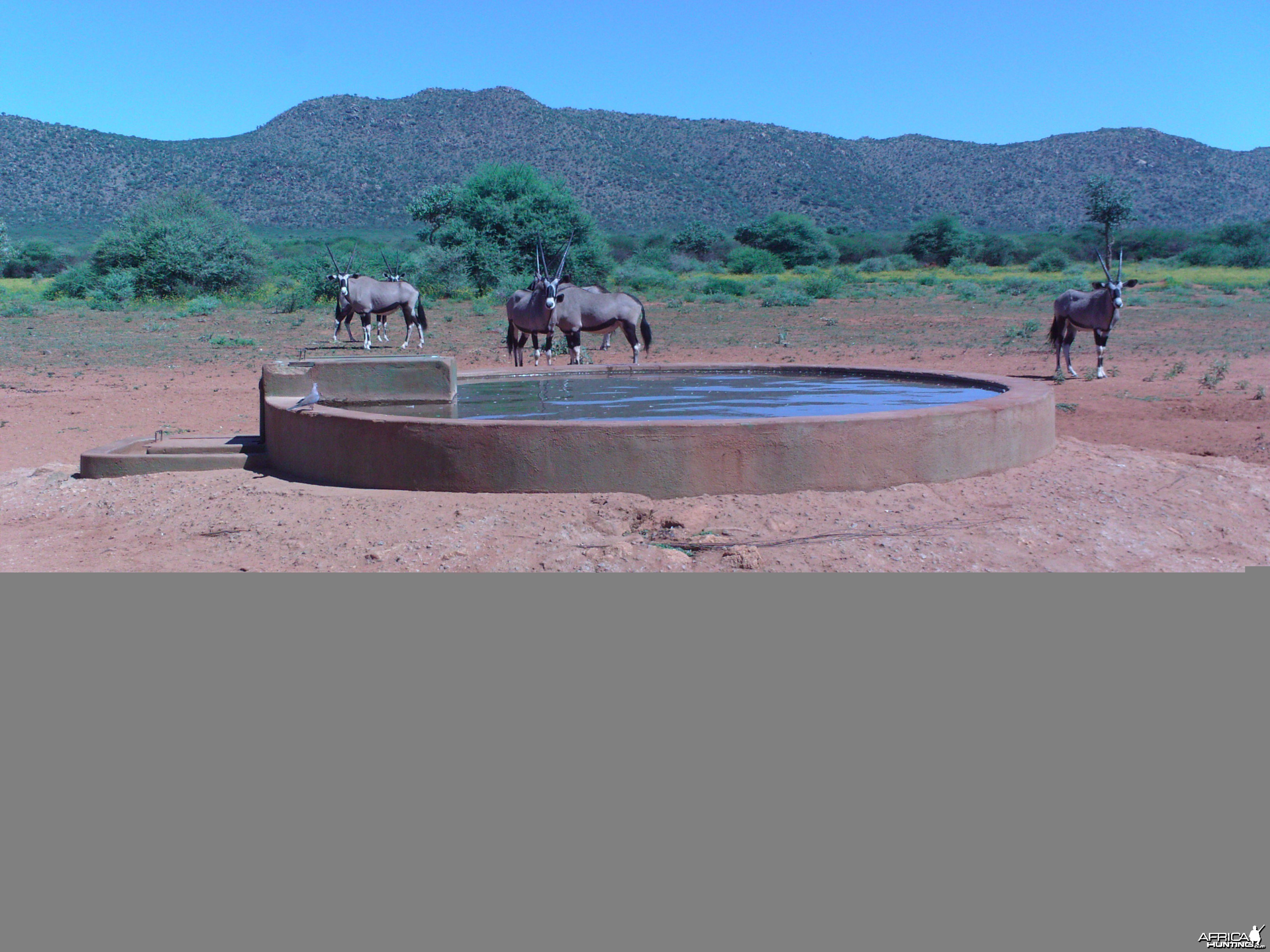 Trail Camera Namibia