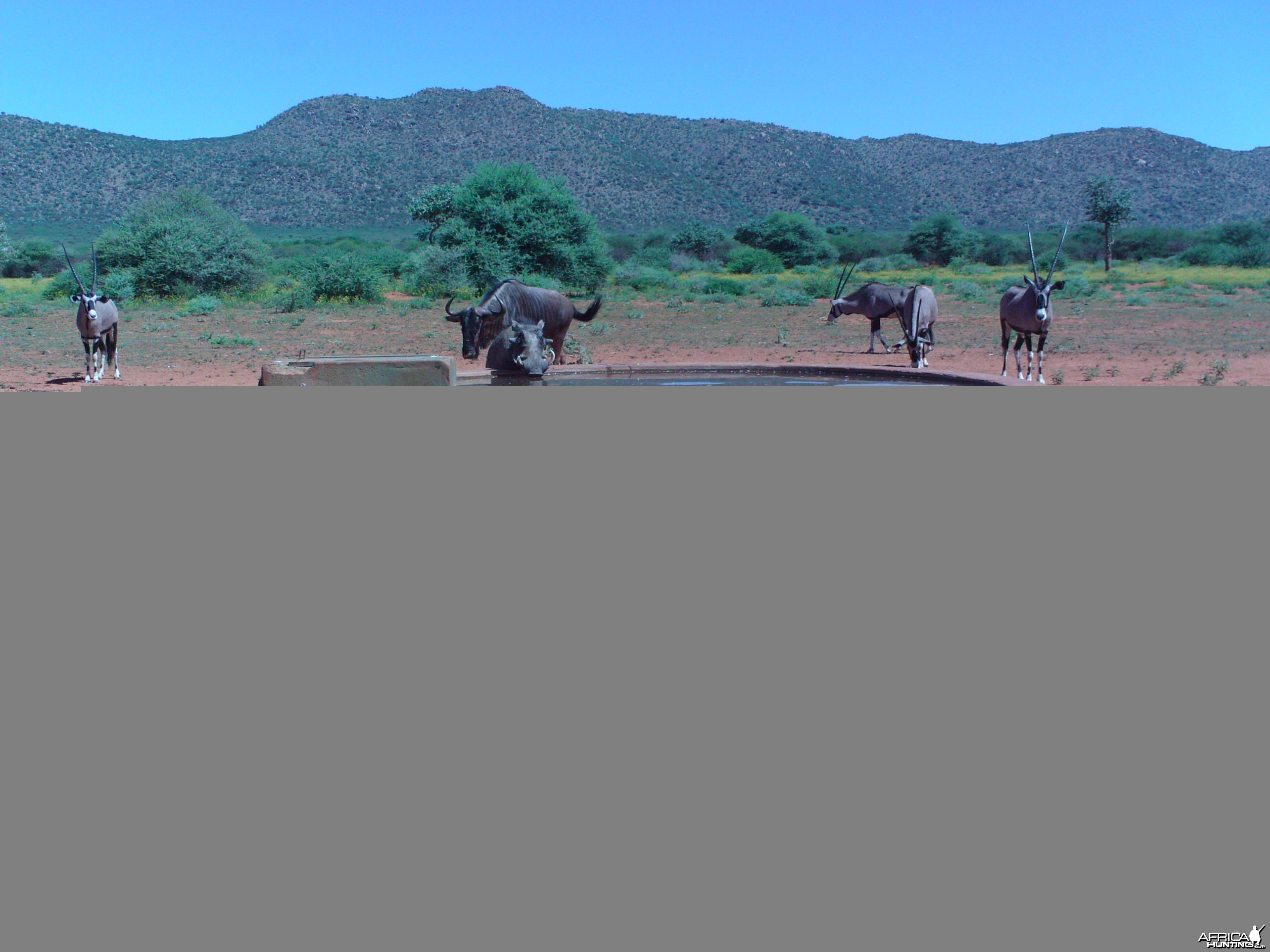 Trail Camera Namibia