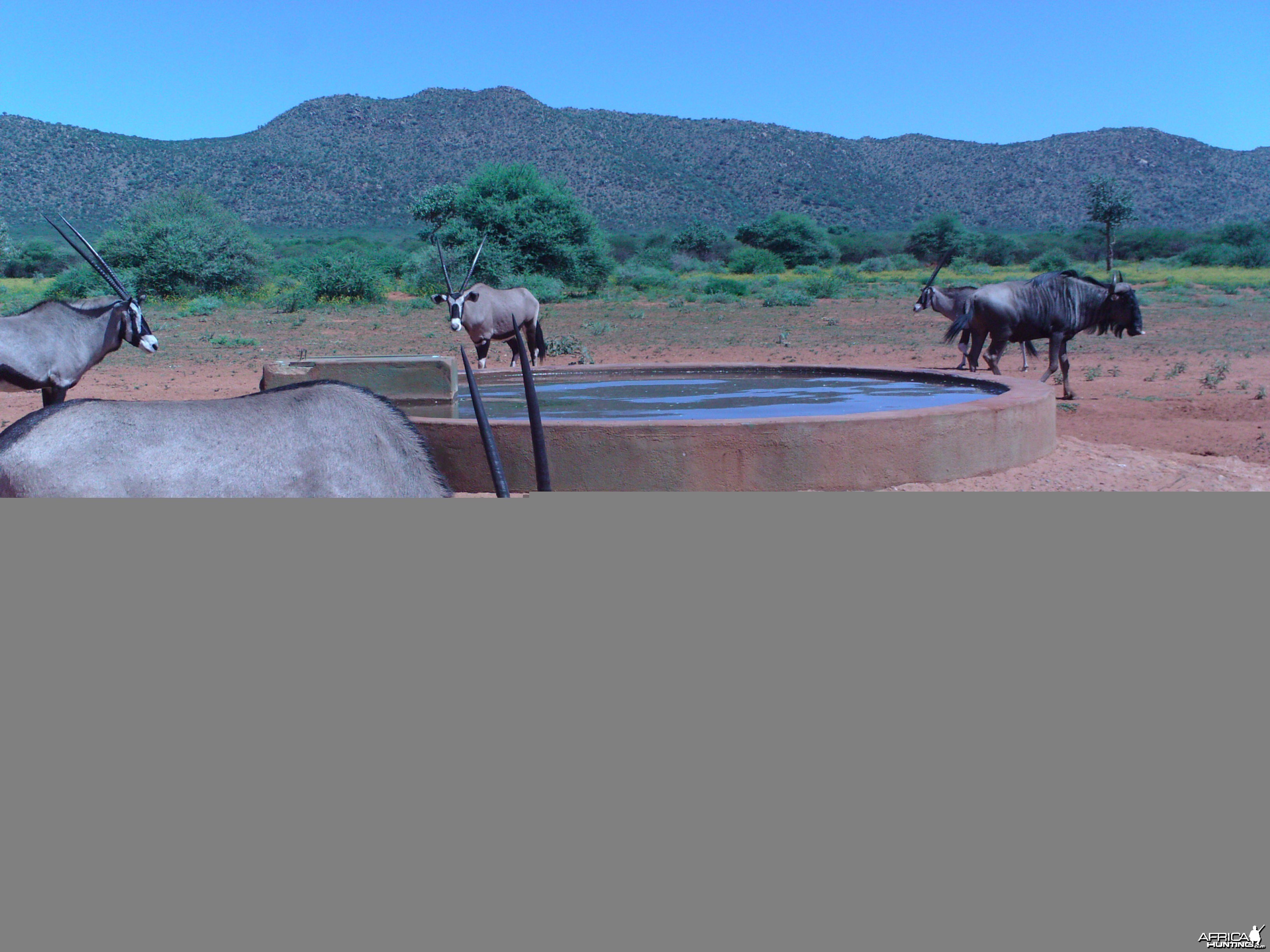 Trail Camera Namibia