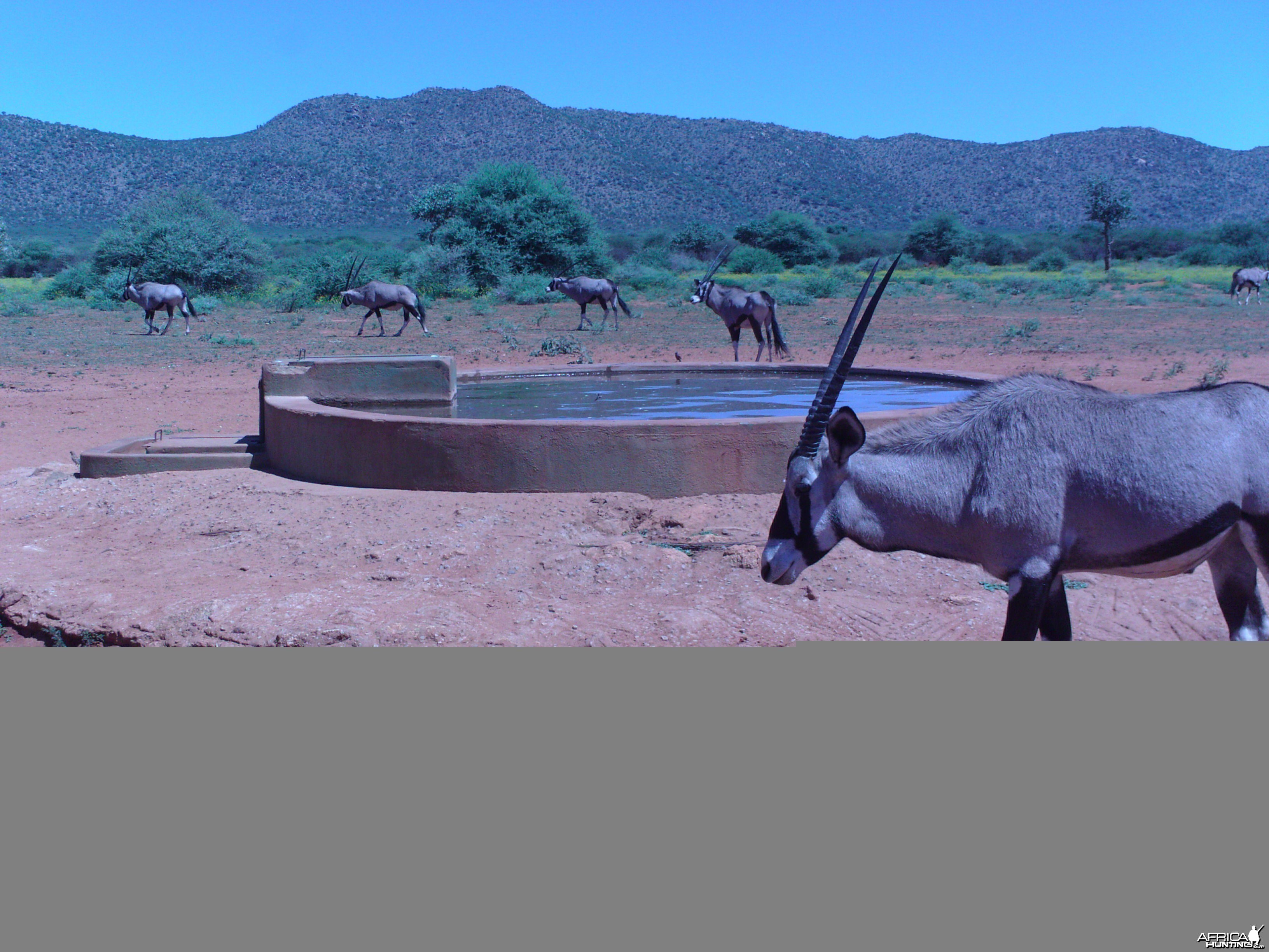 Trail Camera Namibia