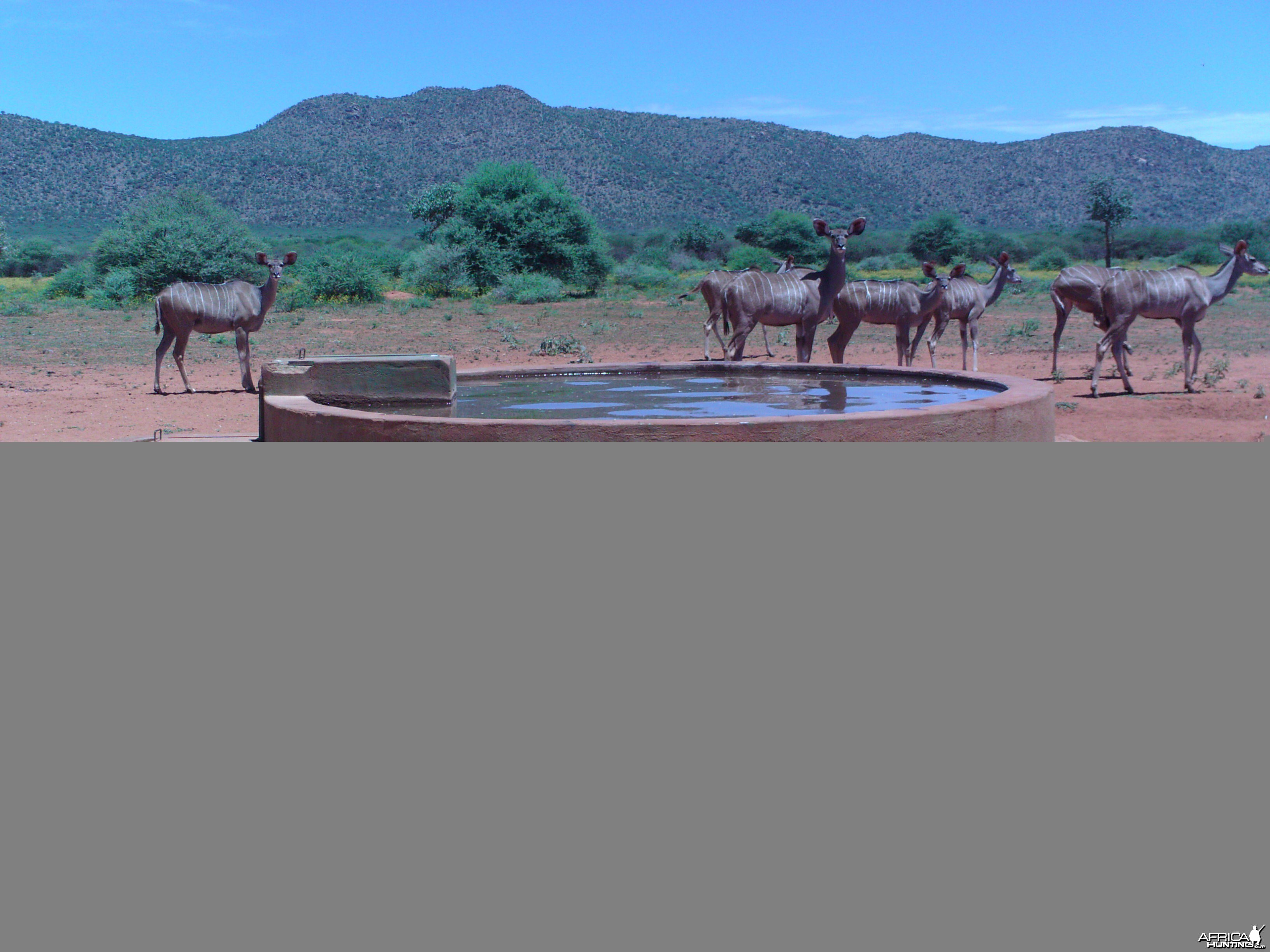 Trail Camera Namibia