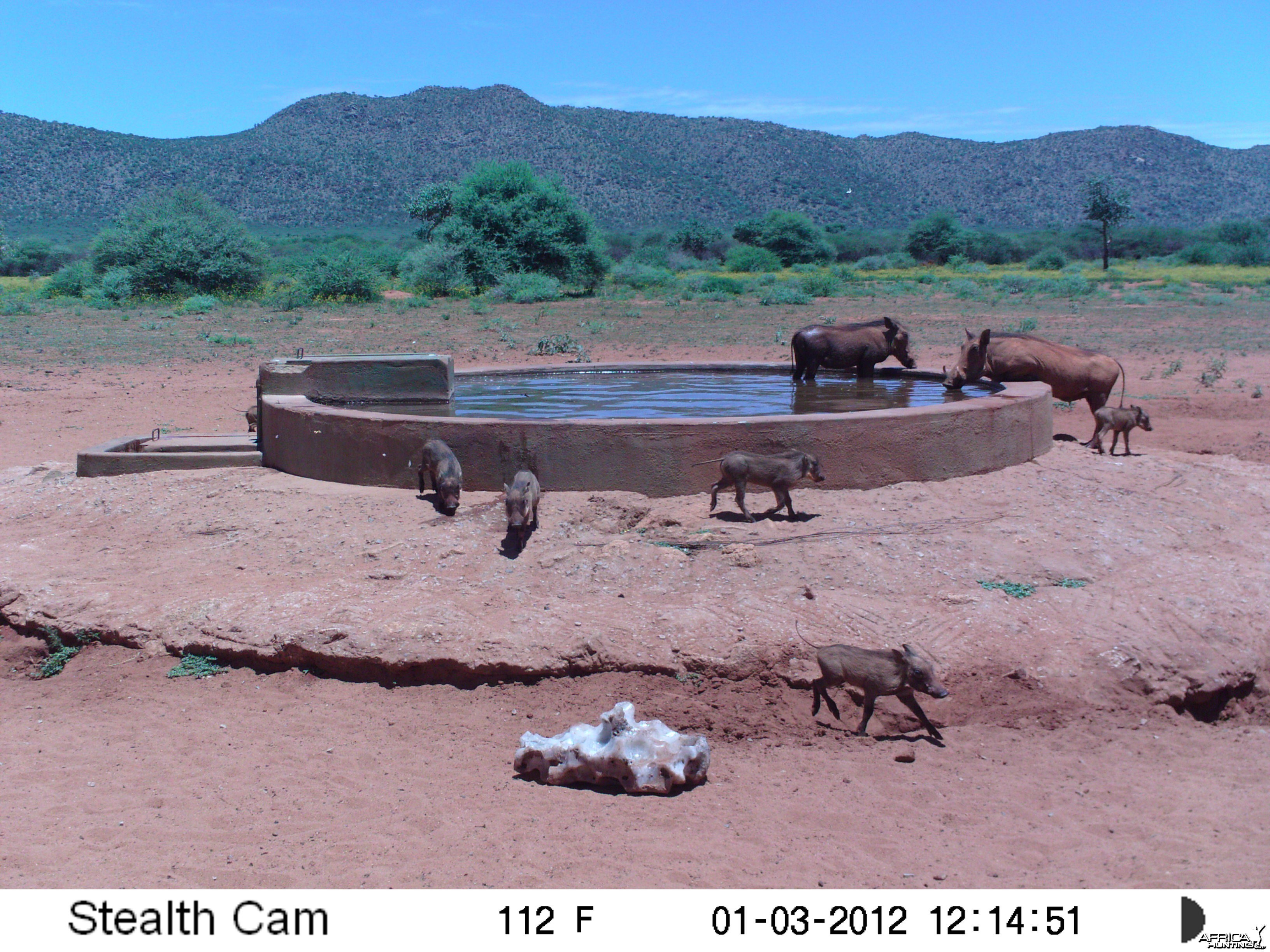 Trail Camera Namibia