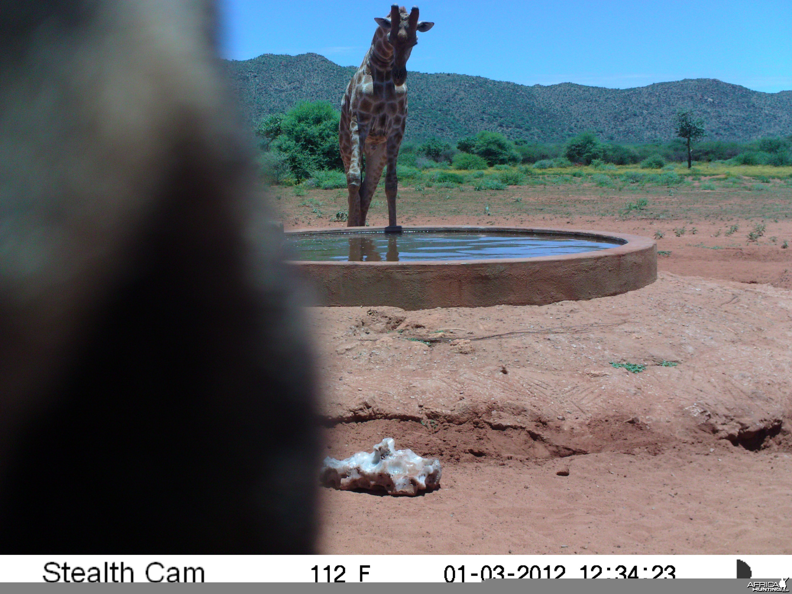 Trail Camera Namibia