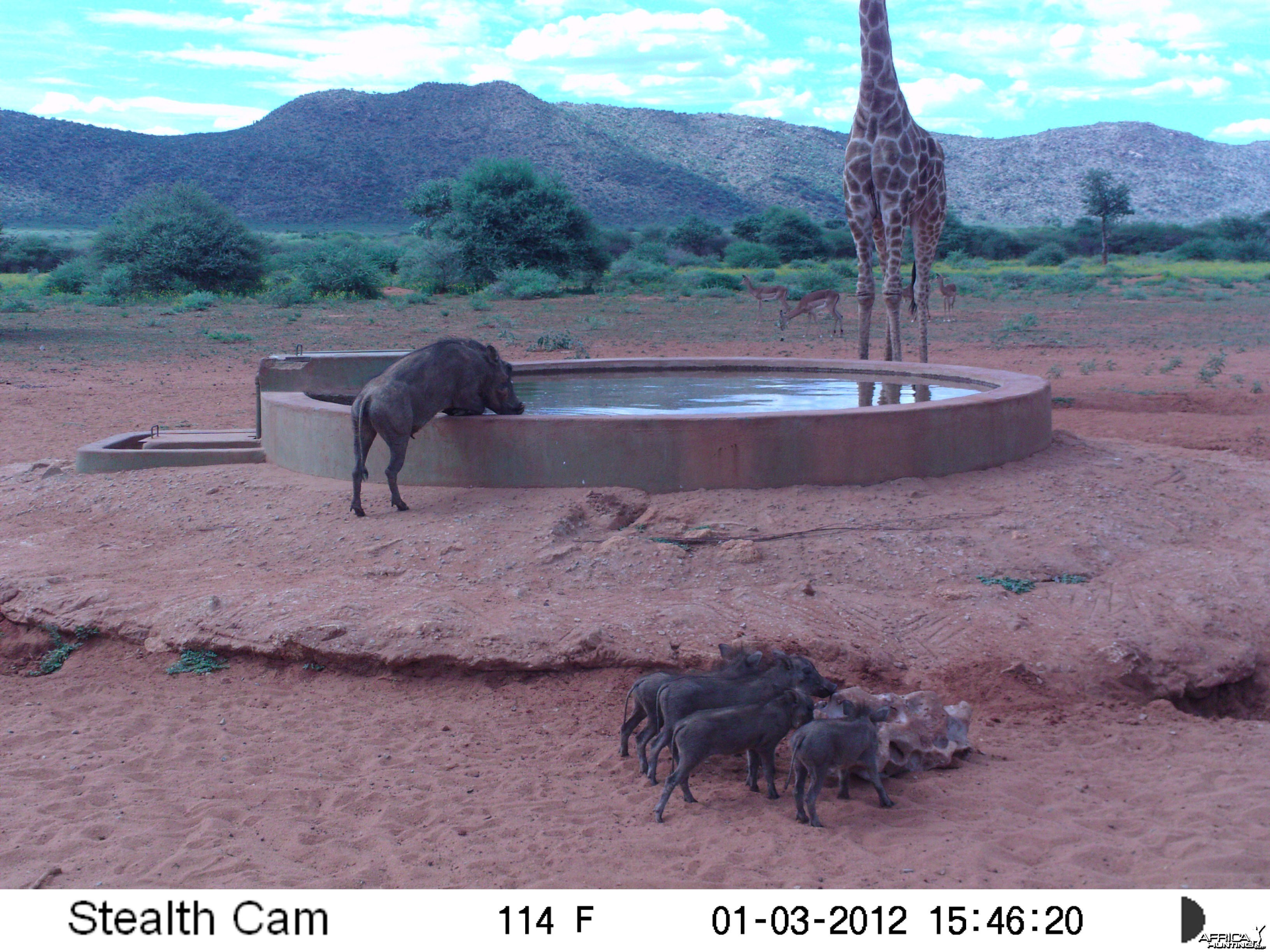 Trail Camera Namibia