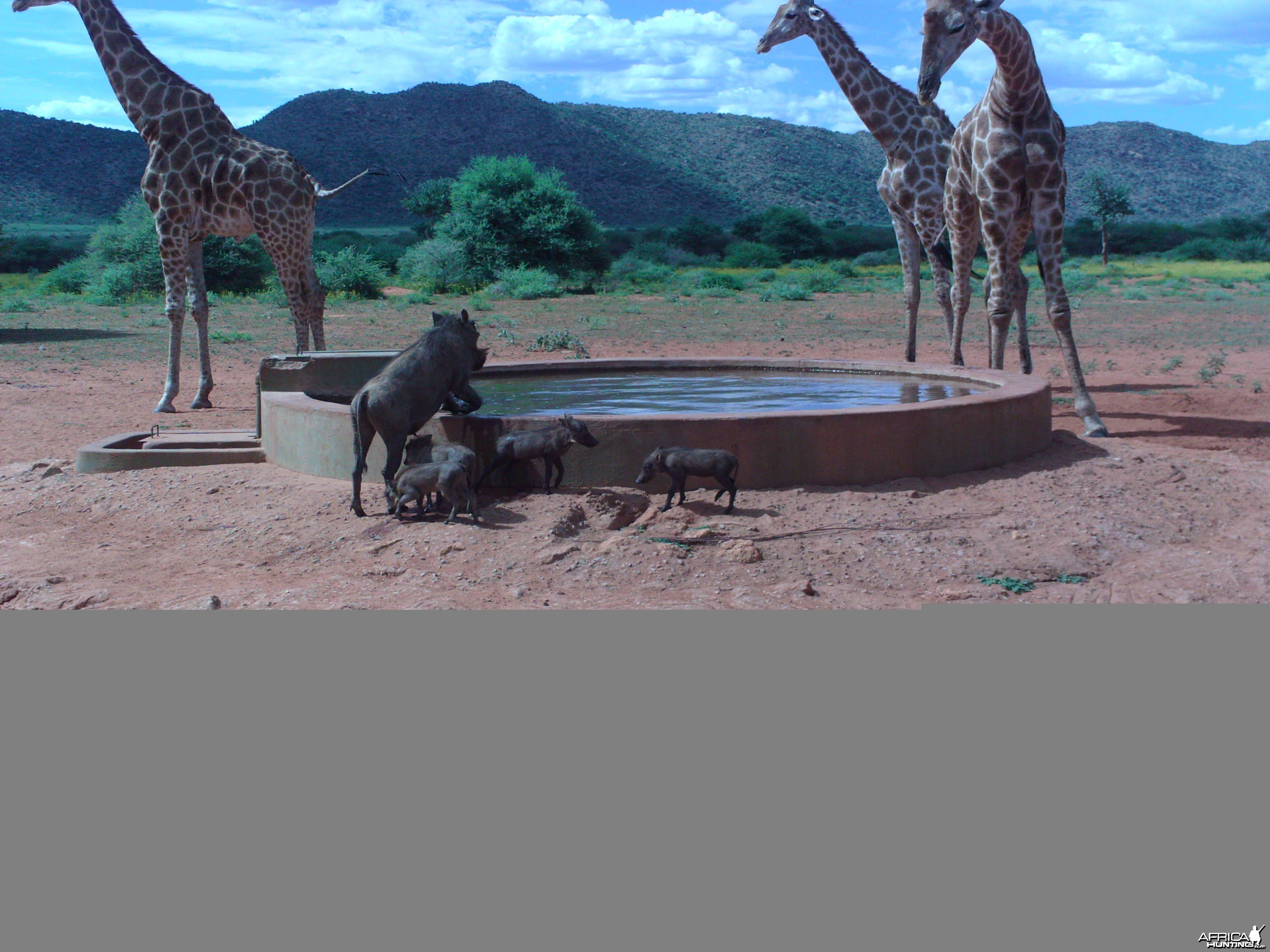 Trail Camera Namibia