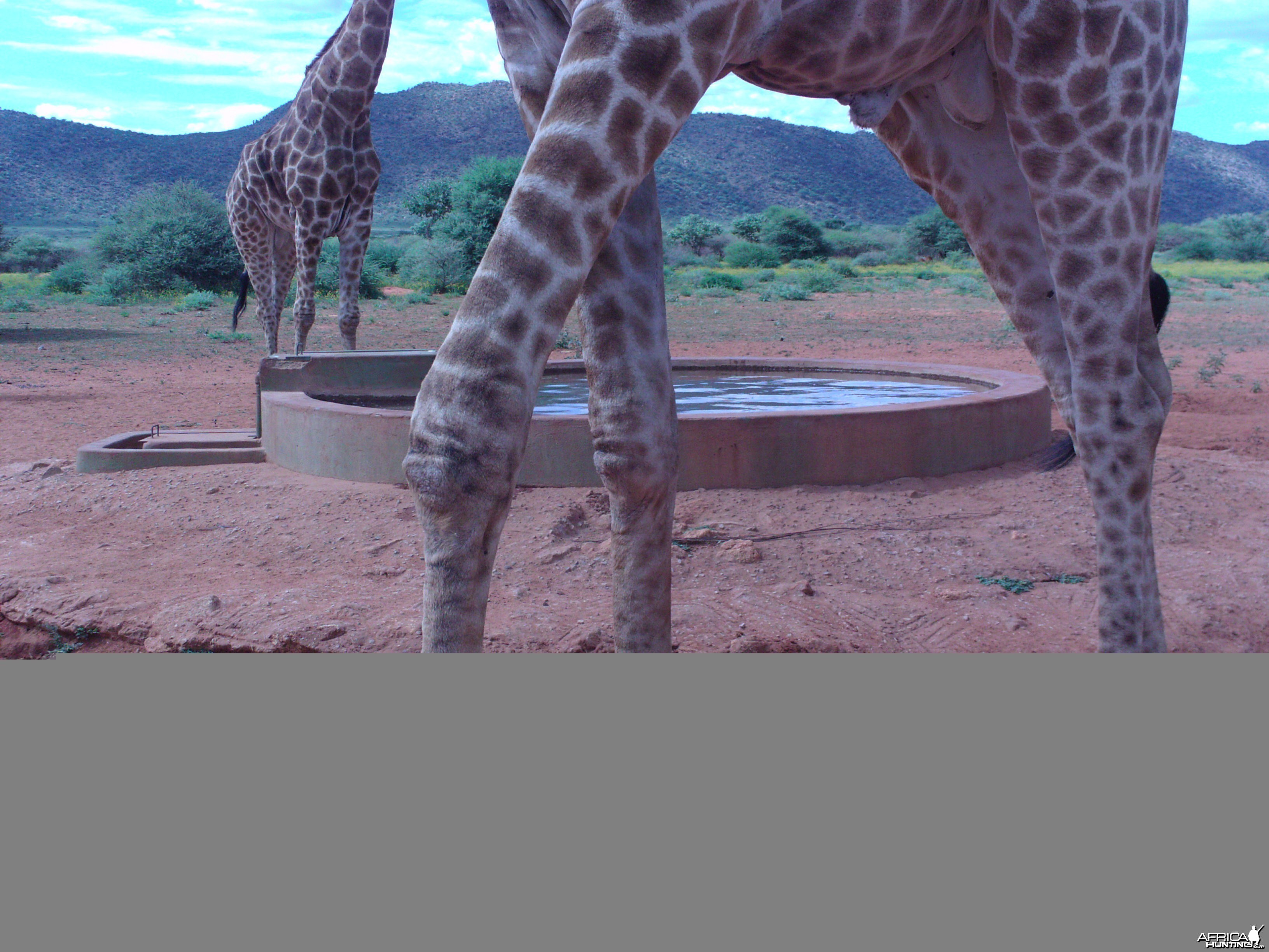 Trail Camera Namibia