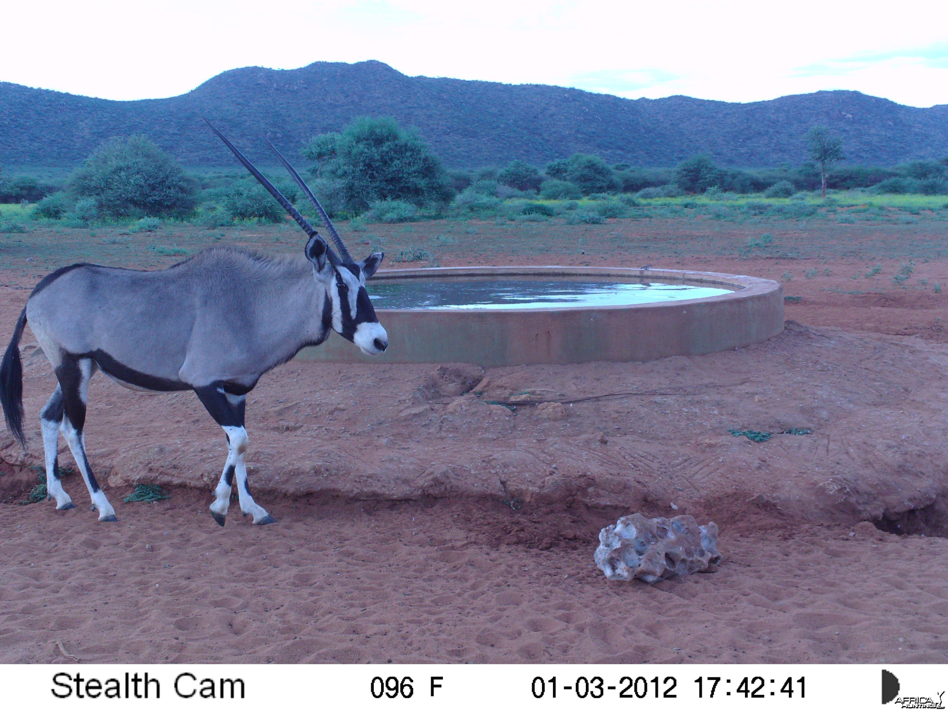 Trail Camera Namibia