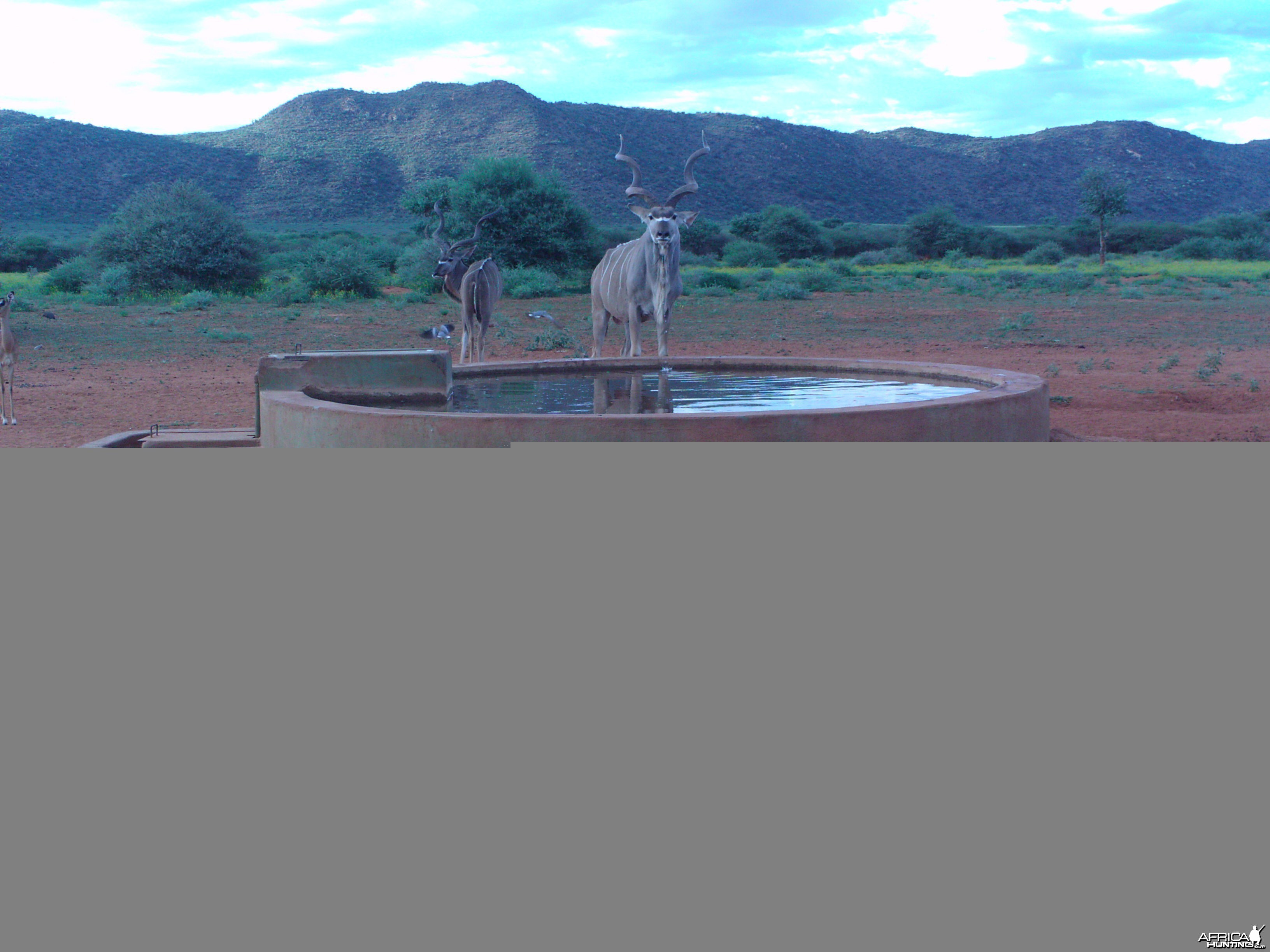 Trail Camera Namibia