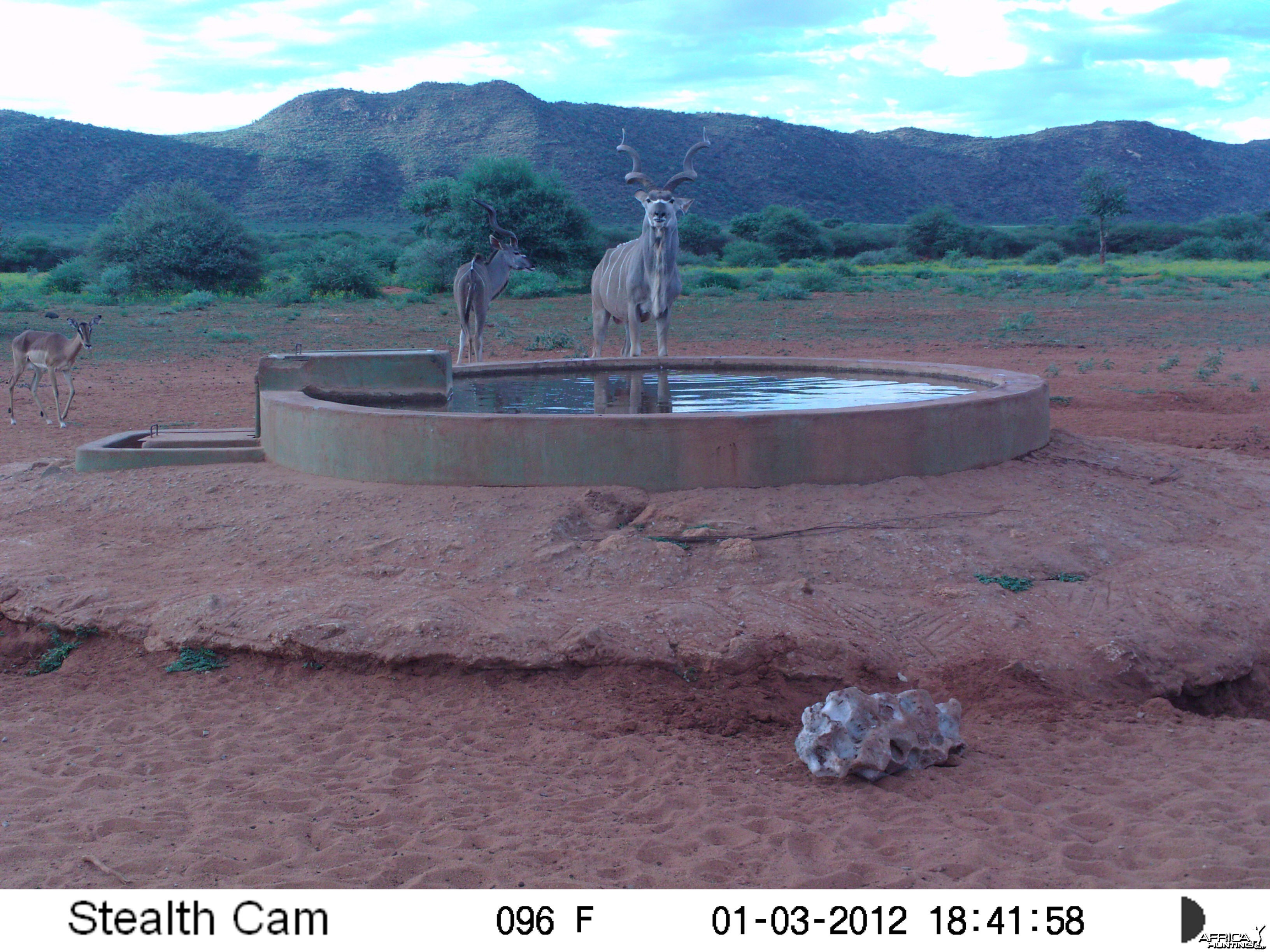 Trail Camera Namibia