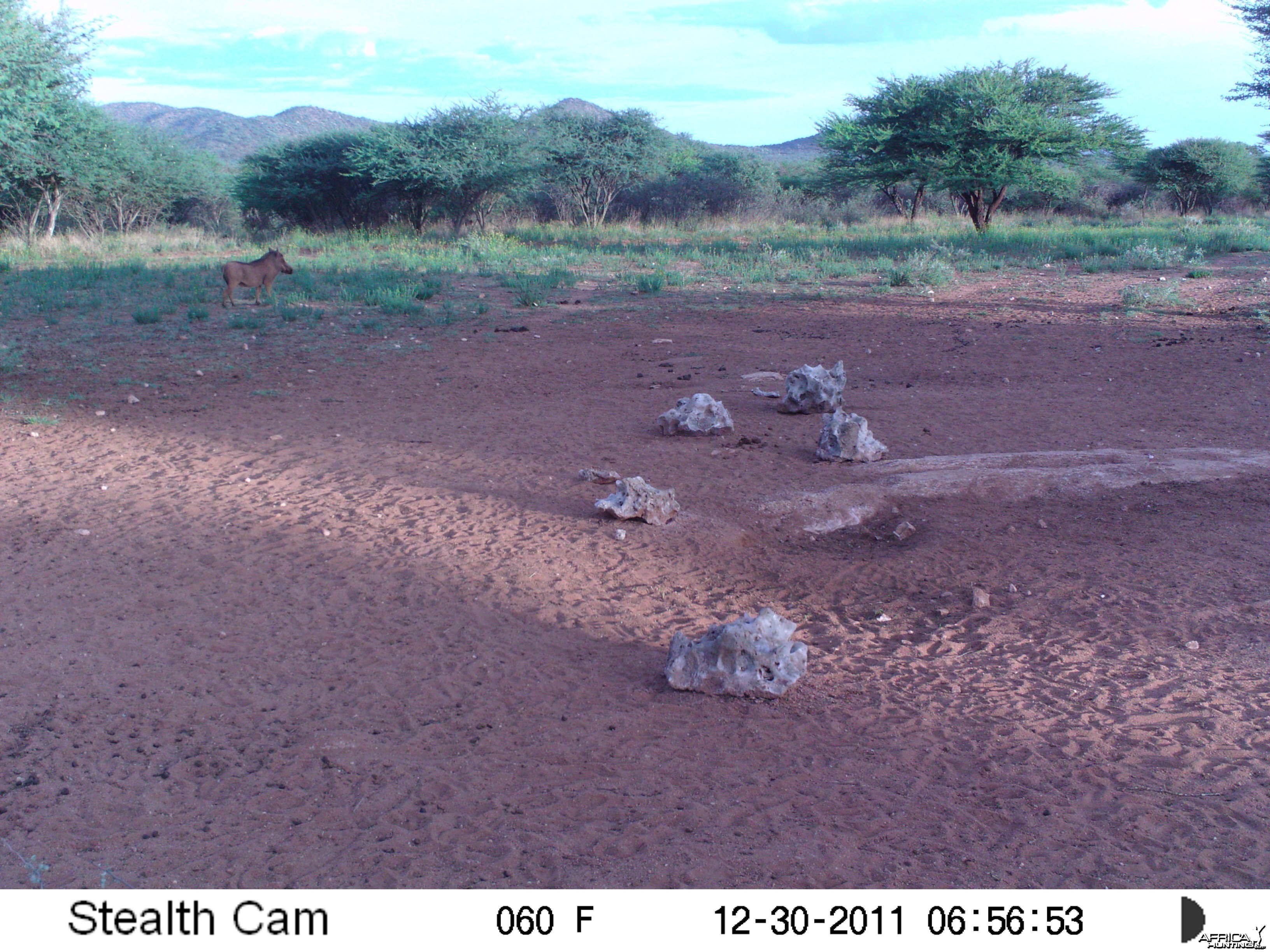 Trail Camera Namibia