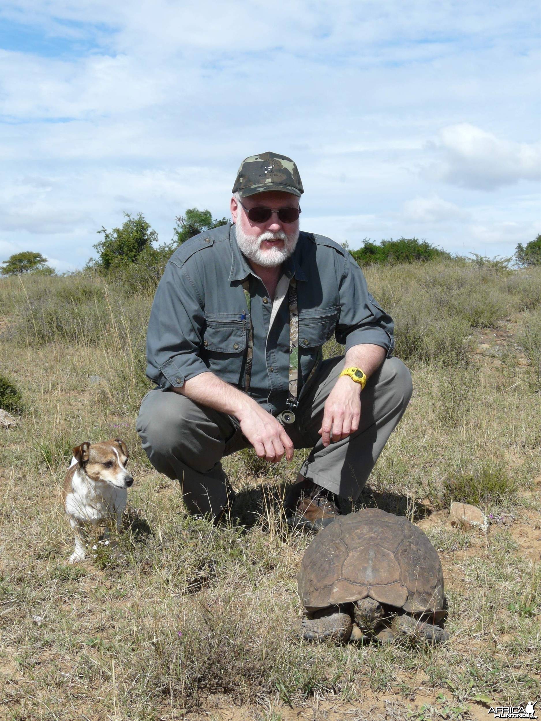 80 year old Tortoise