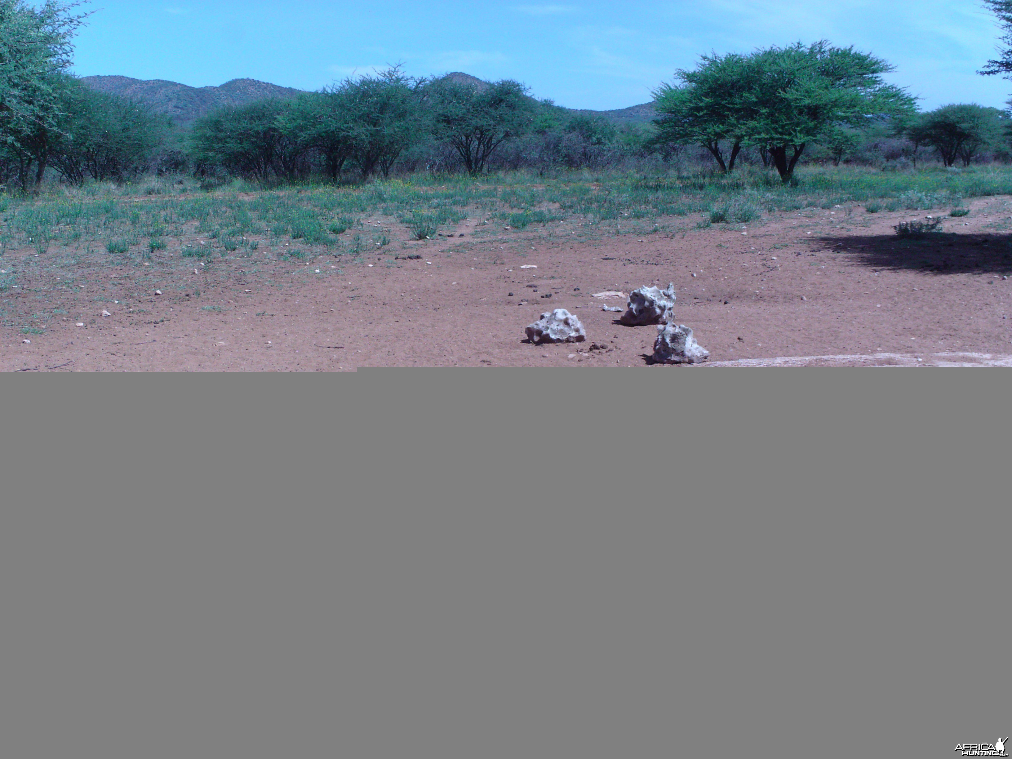 Trail Camera Namibia