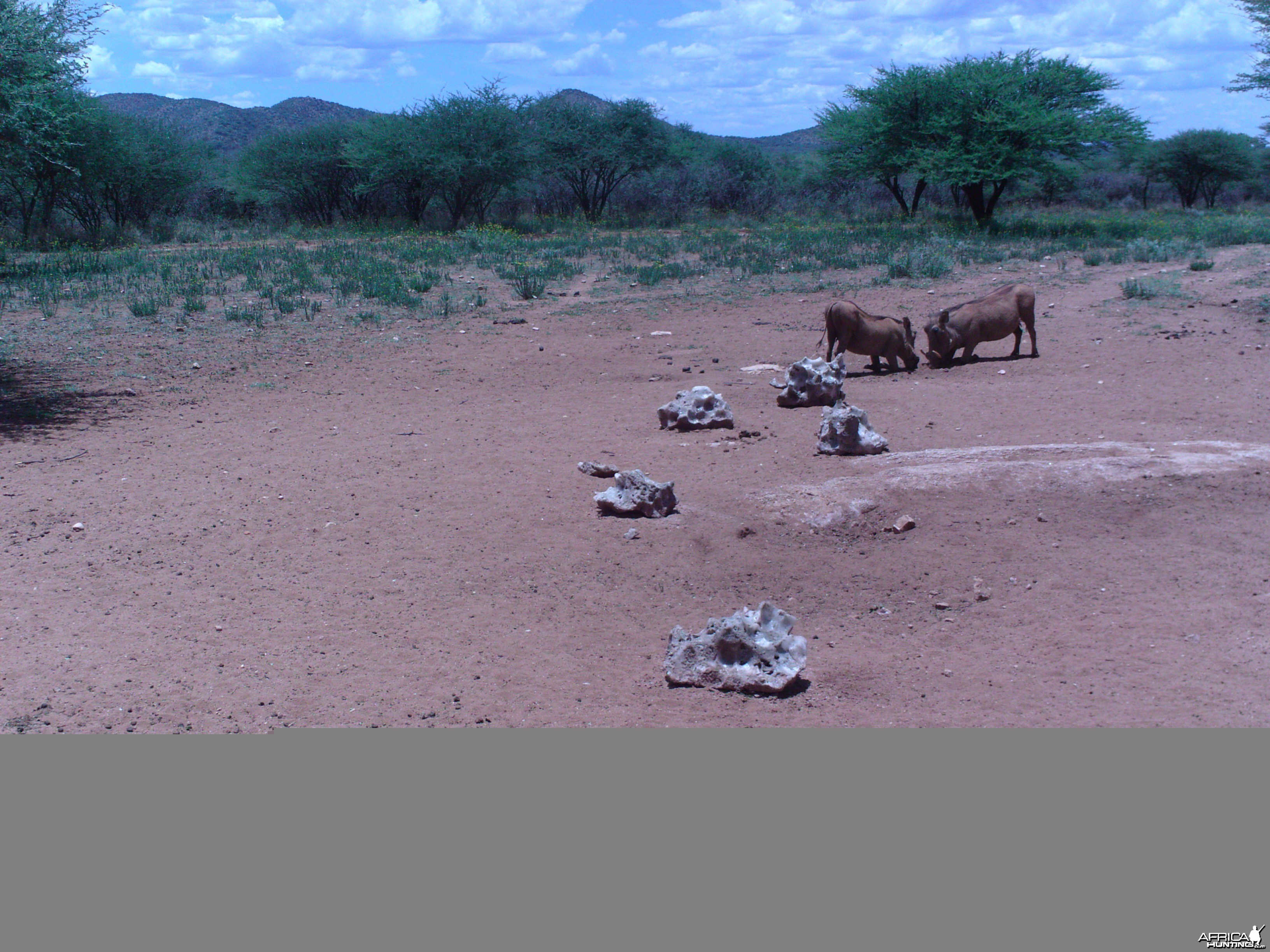 Trail Camera Namibia