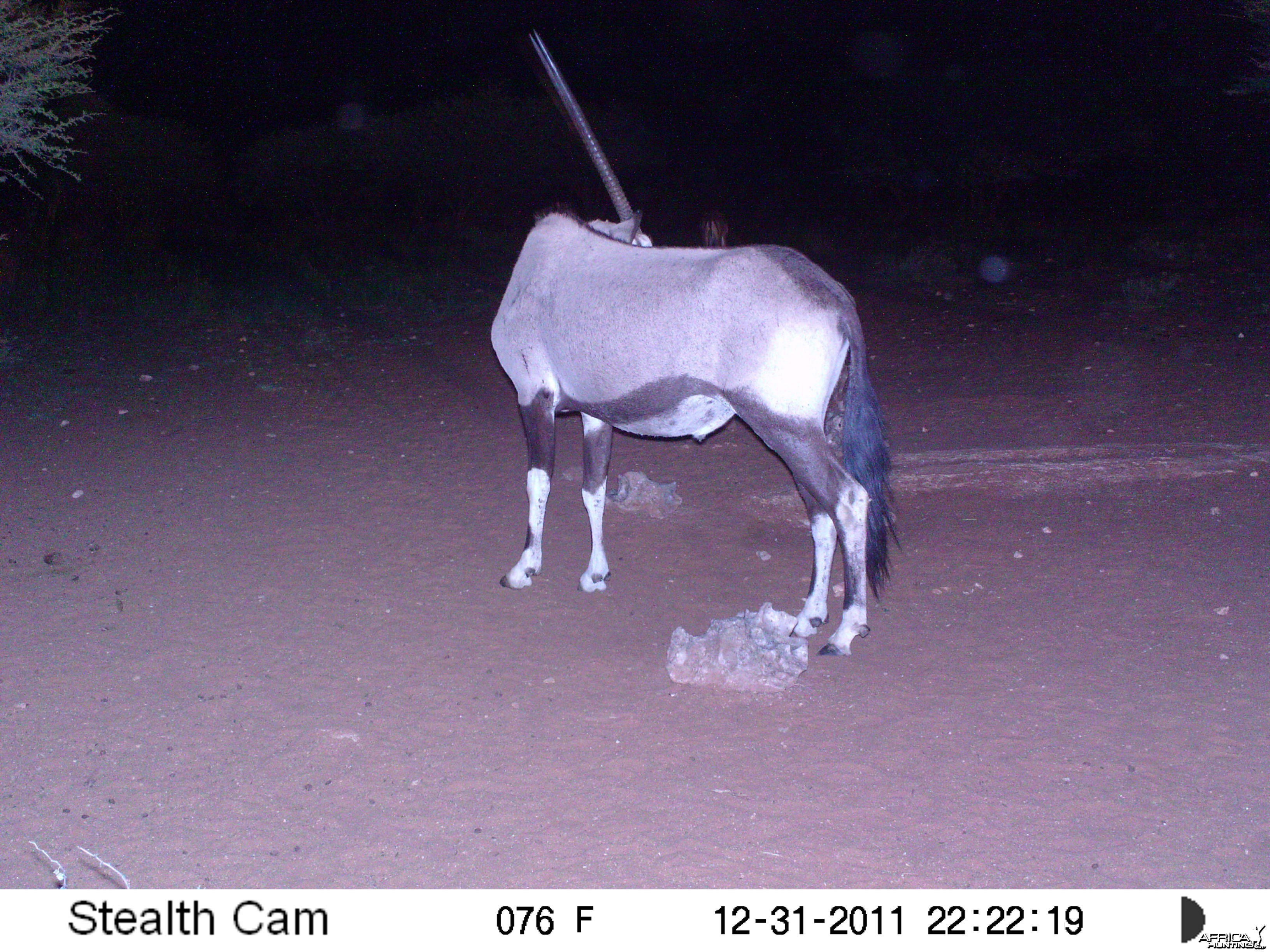 Trail Camera Namibia