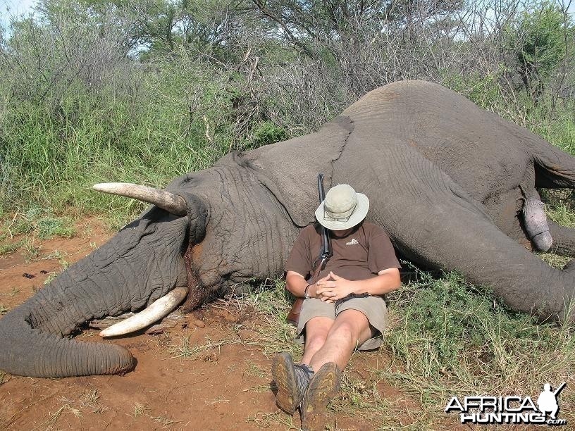 Management Elephant Bull (non trophy) Kwalata
