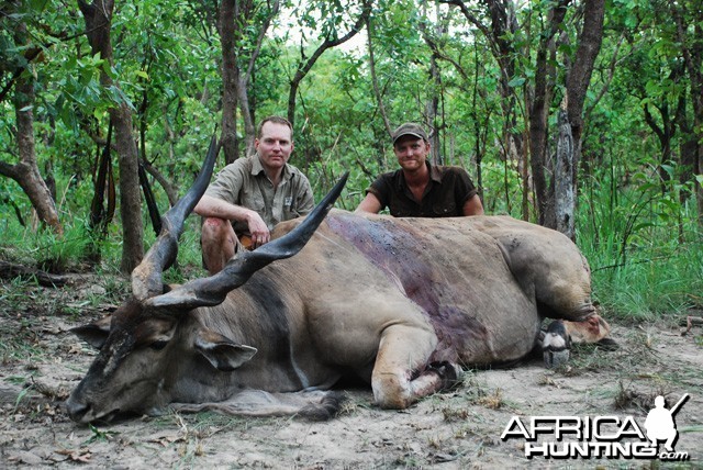 Lord derbys Eland shot in CAR at CAWA Safari