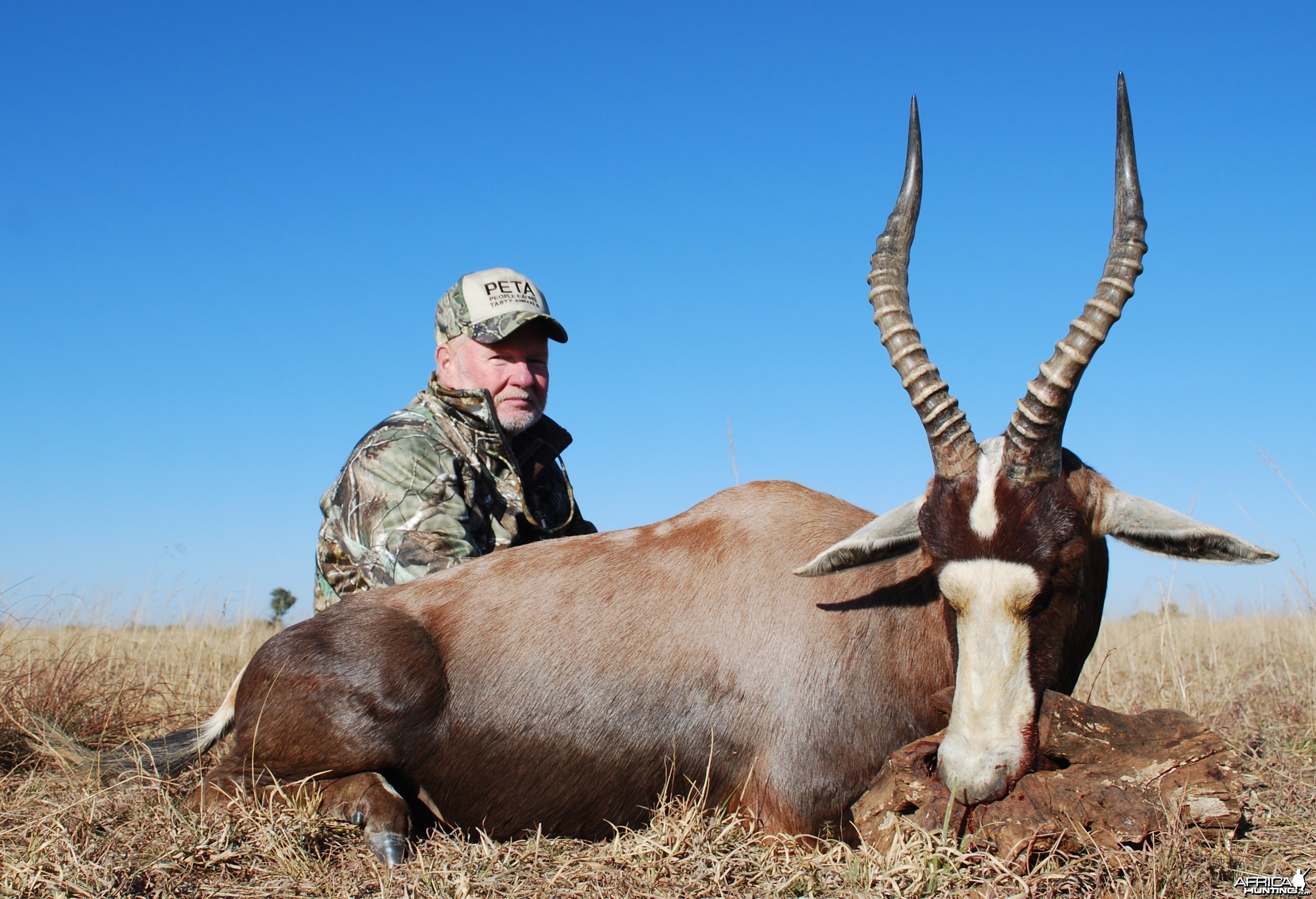 Motsomi Safaris - Blesbuck