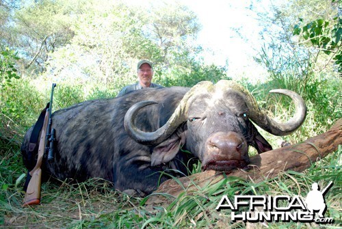 Motsomi Safaris - Cape Buffalo