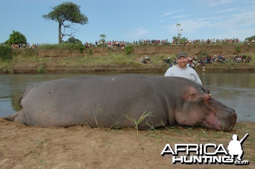 Motsomi Safaris - Hippo