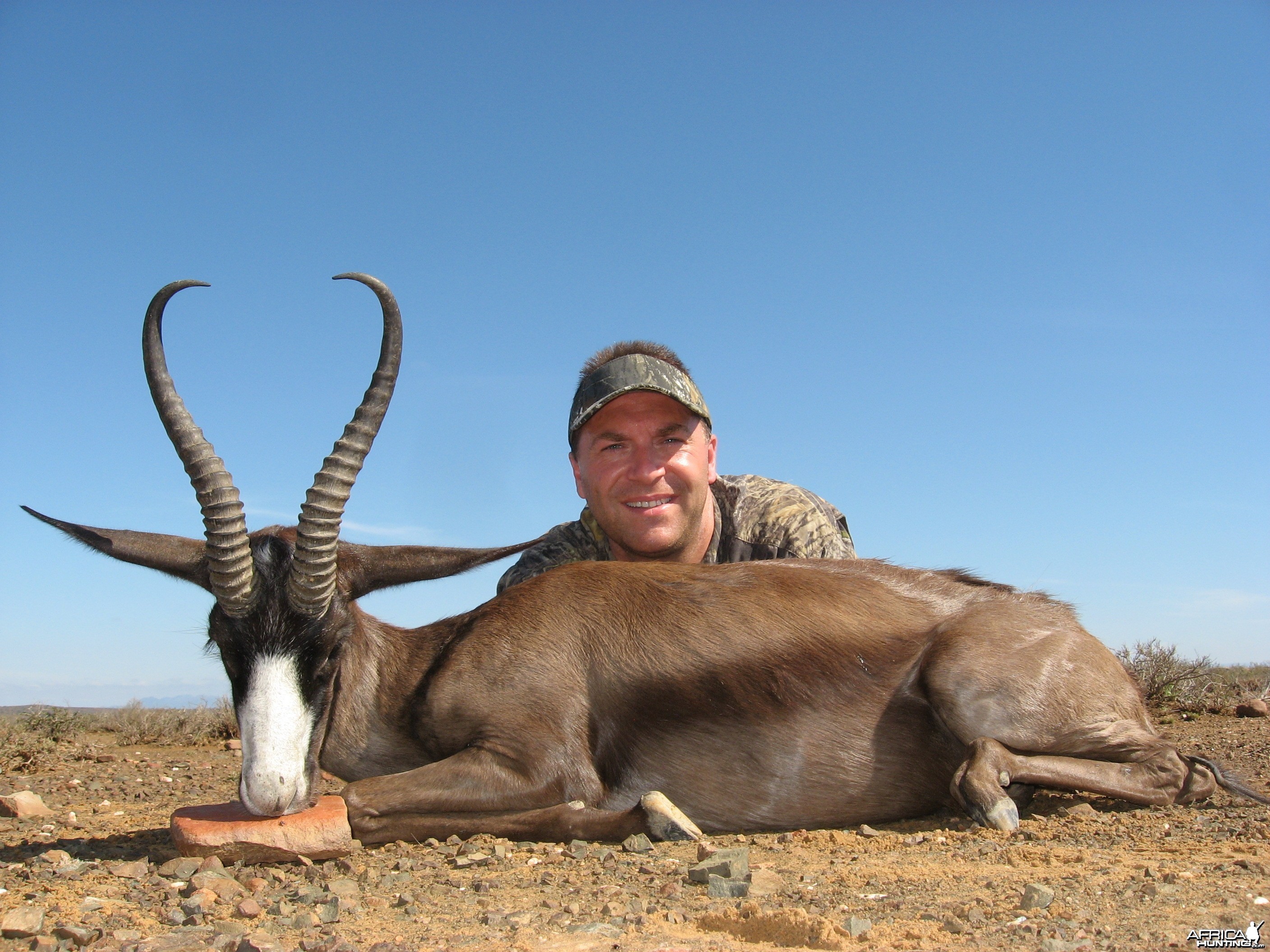 Black Springbuck taken with Andrew Harvey Safaris