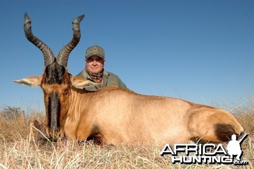 Motsomi Safaris - Red Hartebeest