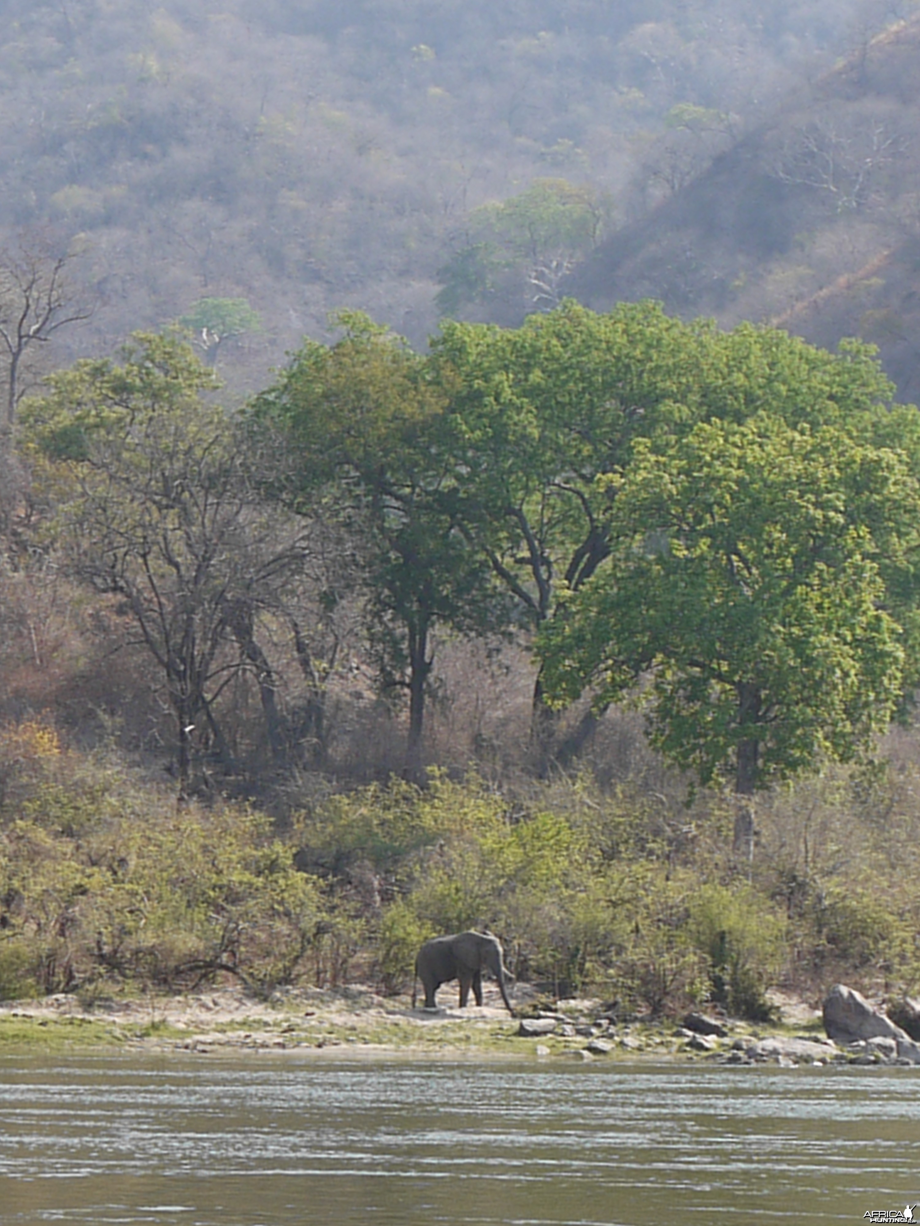 fishing below mupata gorge to lower zambezi NP