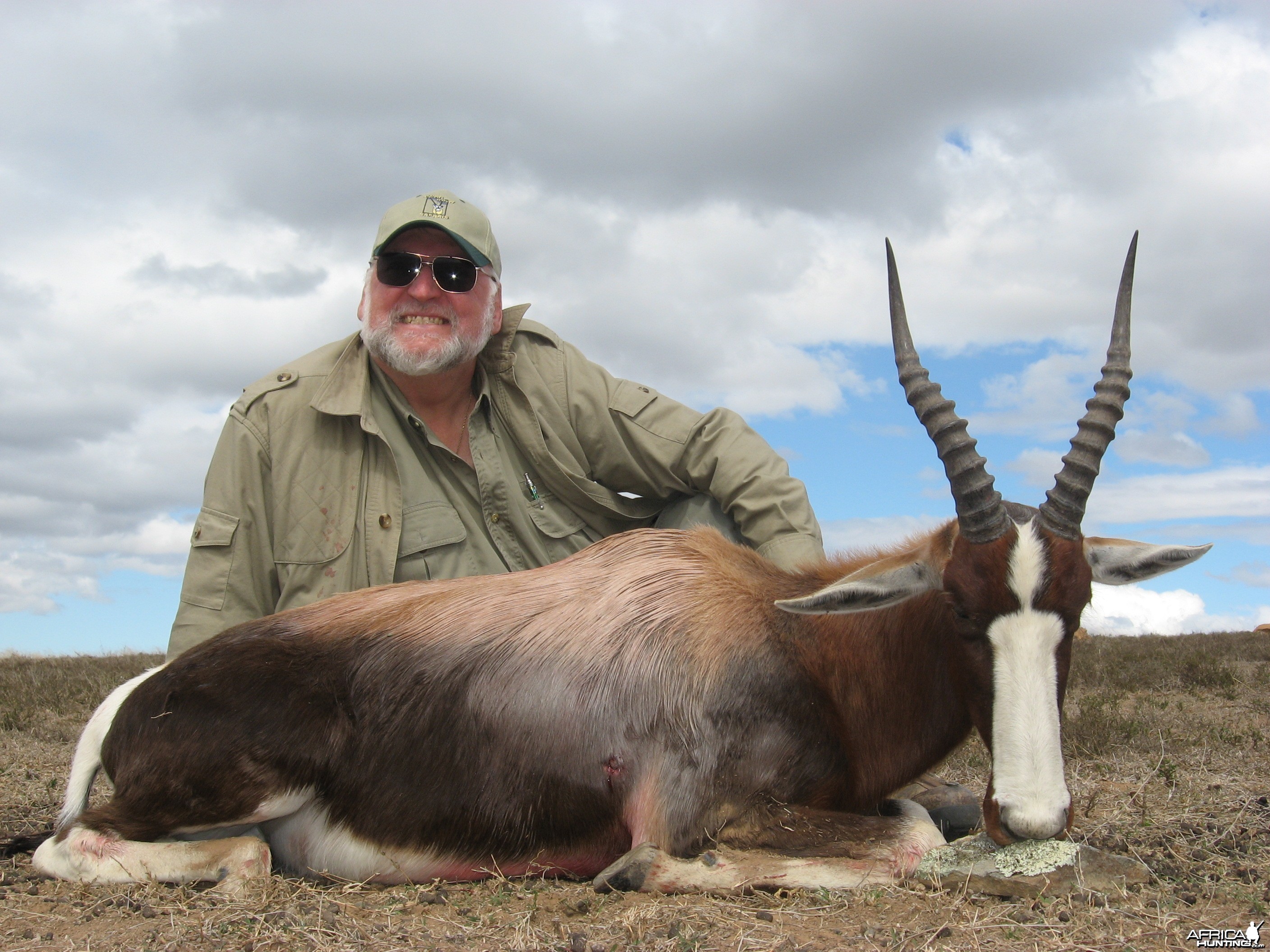 Bontebok hunted with Andrew Harvey Safaris