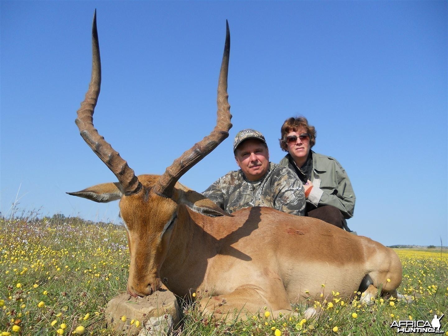 Impala hunted with Andrew Harvey Safaris