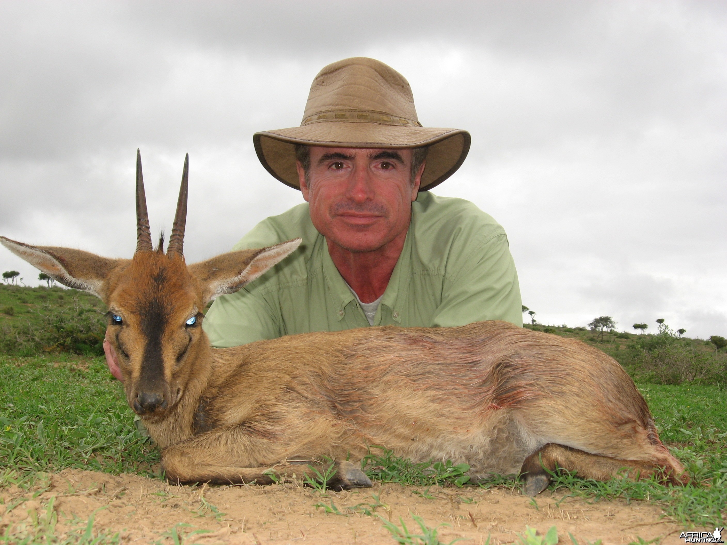 Duiker hunted with Andrew Harvey Safaris