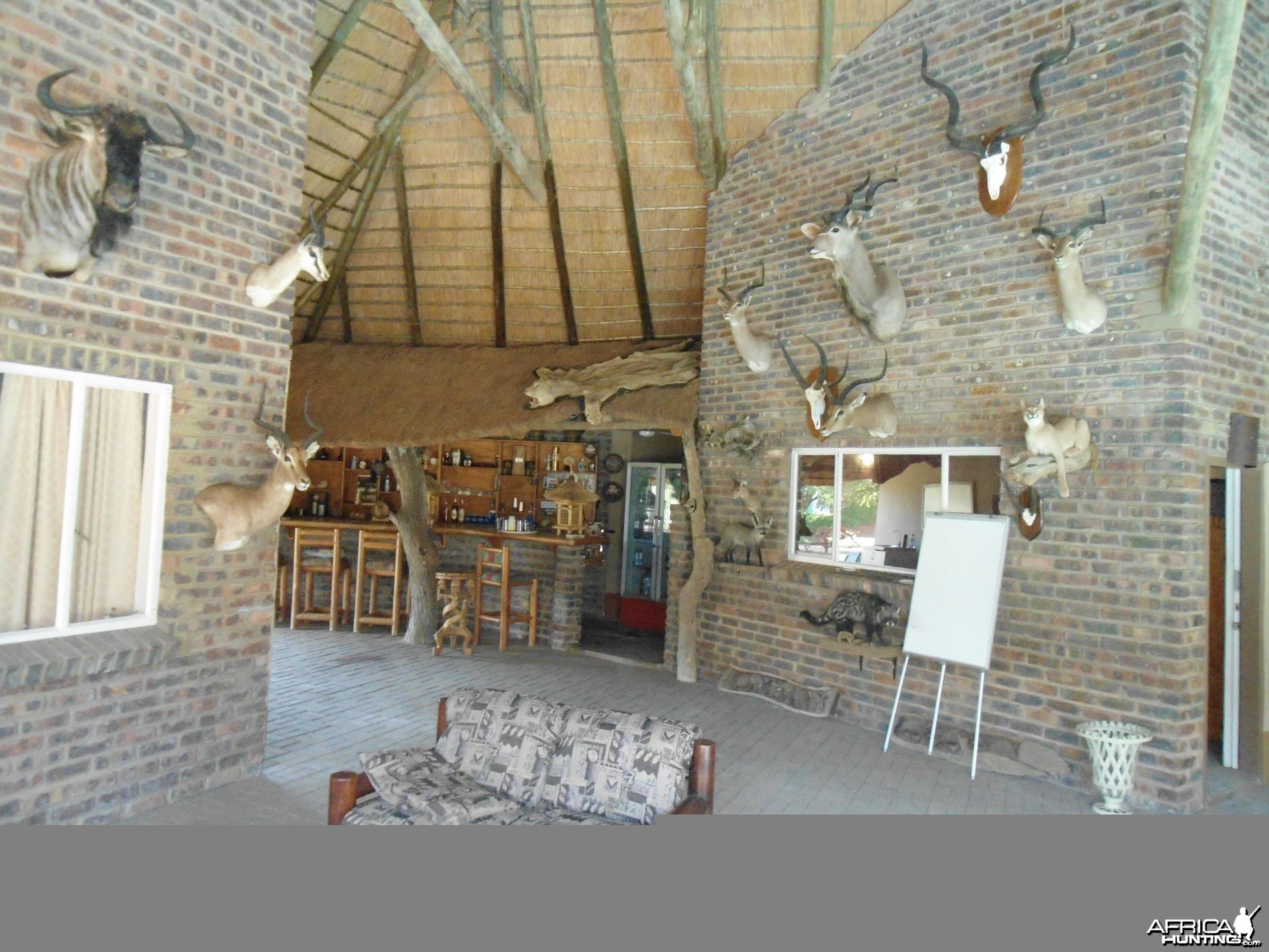 Wild Wildbeest Lodge South Africa