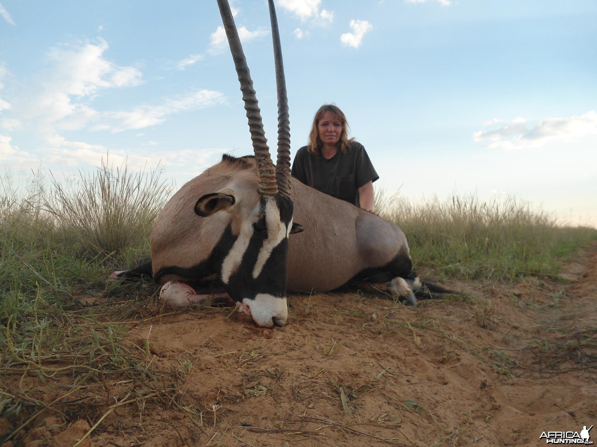 Gemsbok South Africa