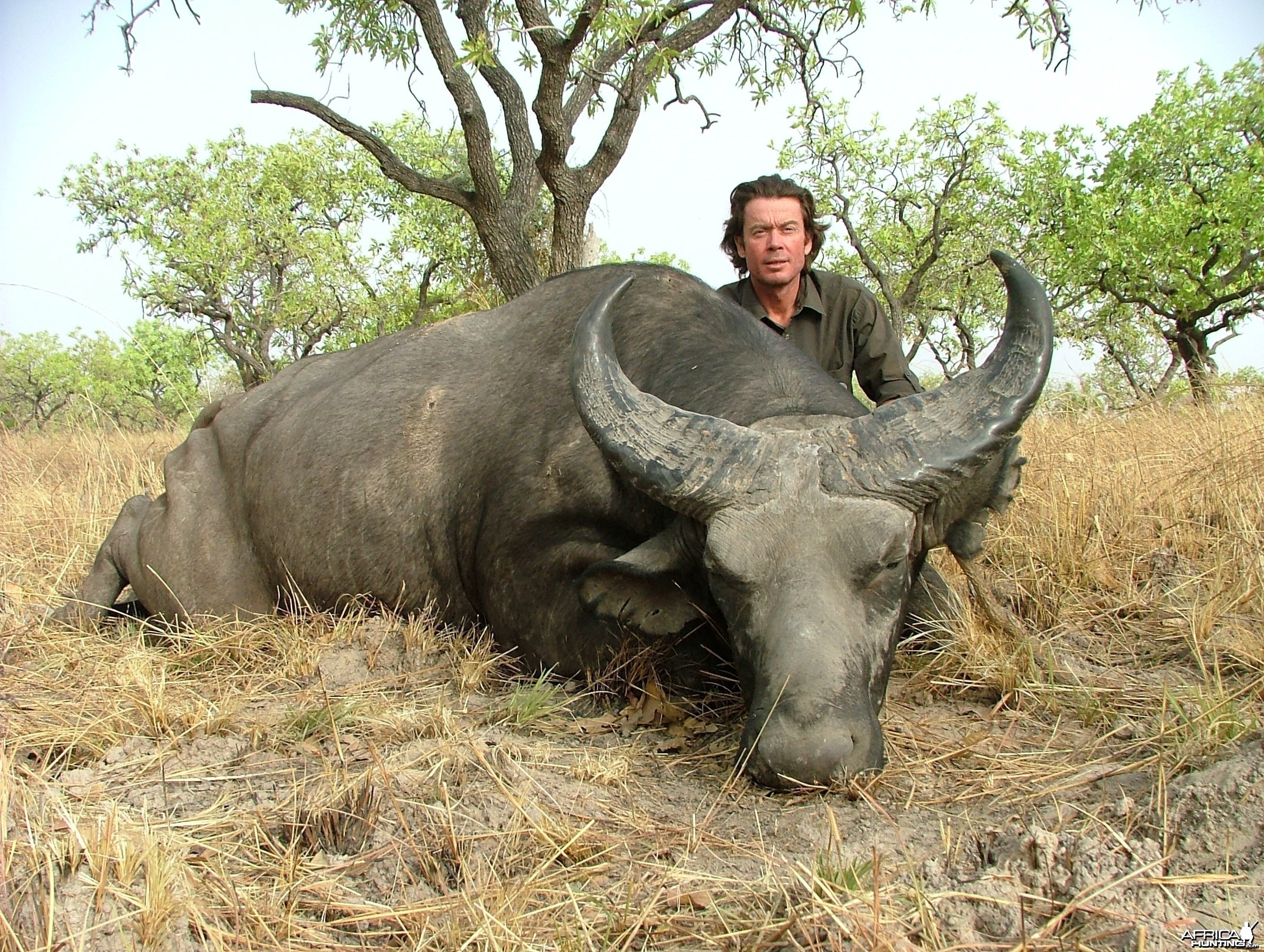 West African Savannah Buffalo hunted in Benin with Club Faune