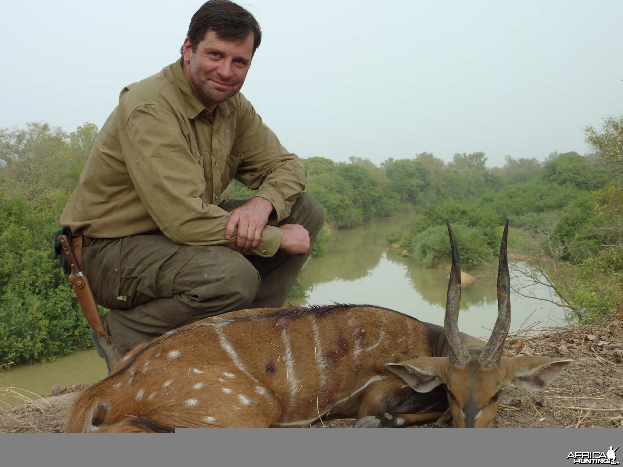 Harnessed Bushbuck hunted in Benin with Club Faune